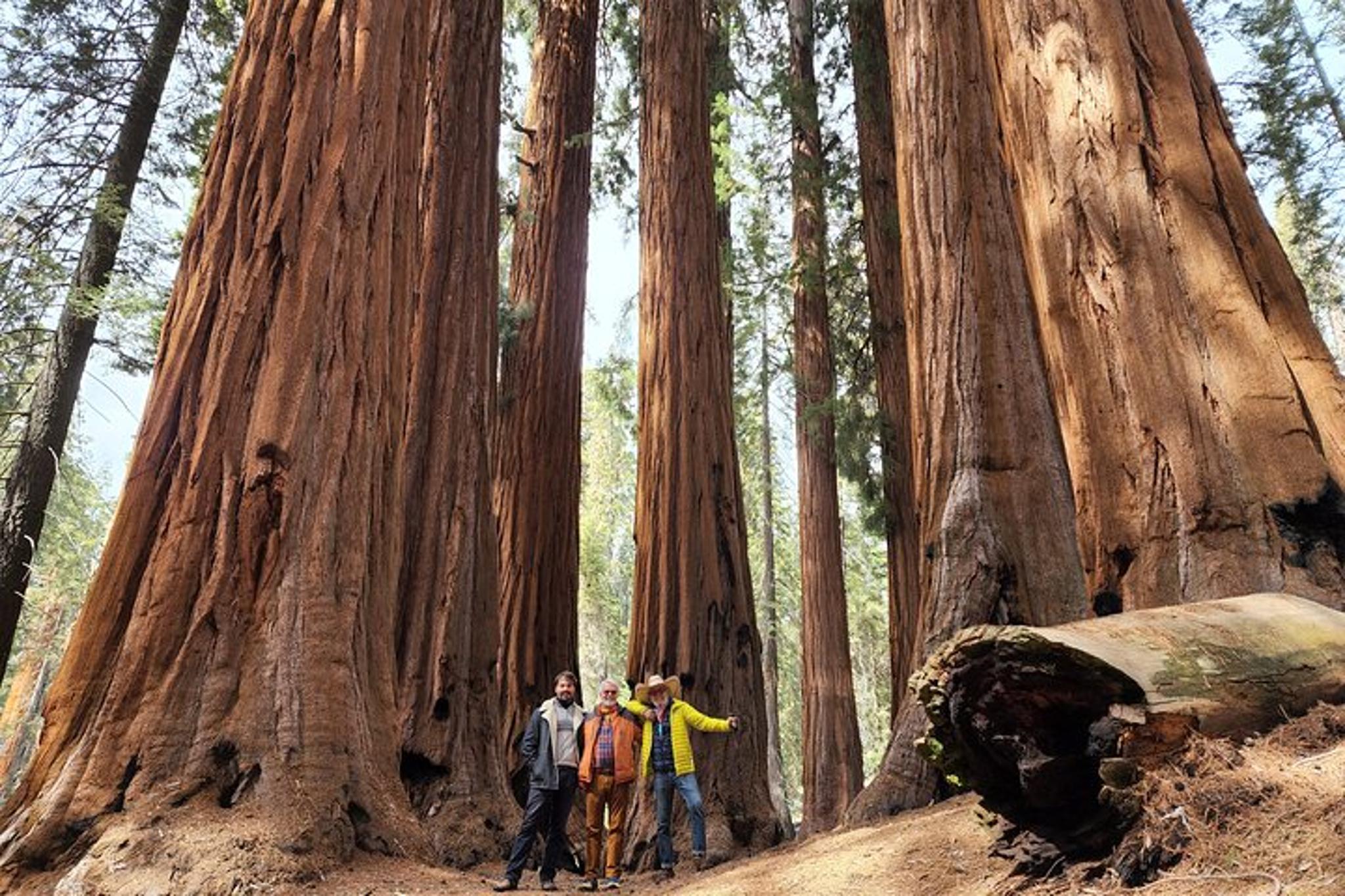Sequoia National Park Private Hiking Tour - Image 2