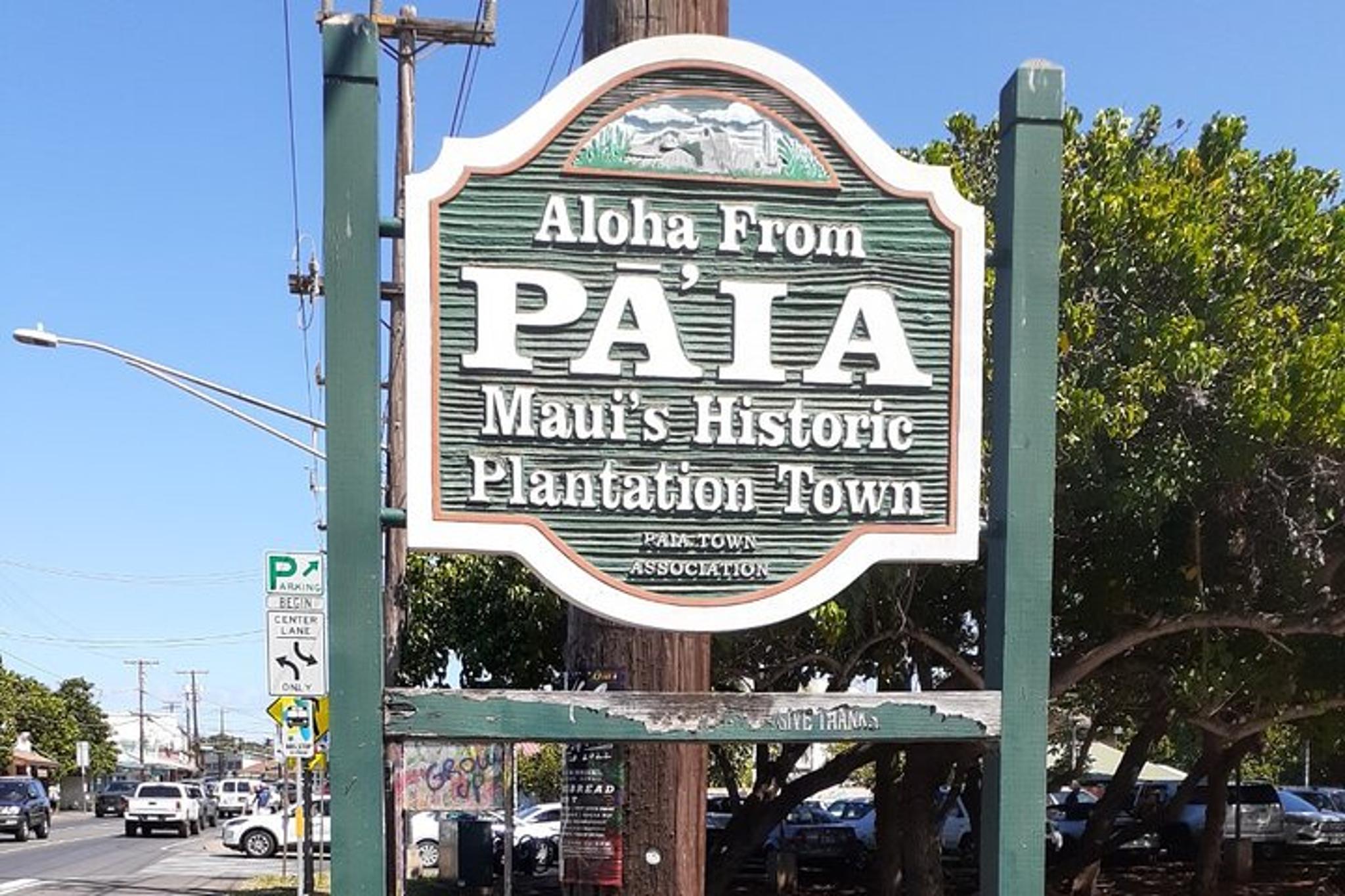 Maui Sightseeing Tour - Image 6