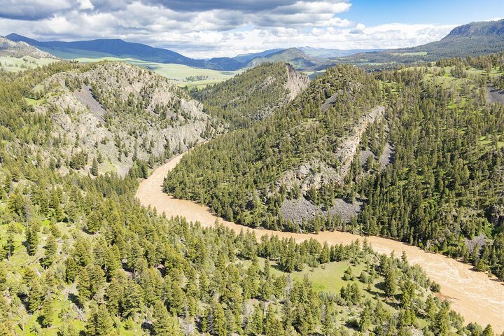 Yellowstone Naturalist Day Hike - Image 2