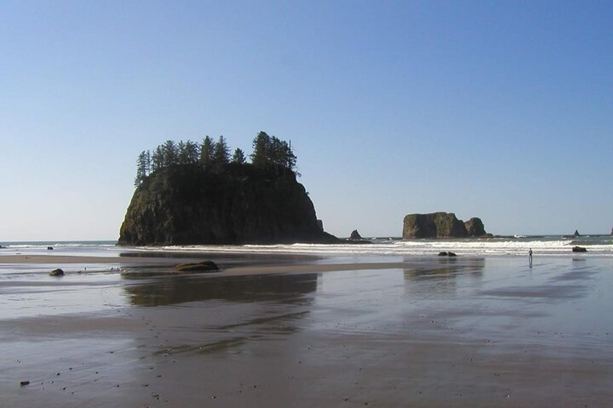 Portland Oregon Coast Scenic Day Tour - Image 6