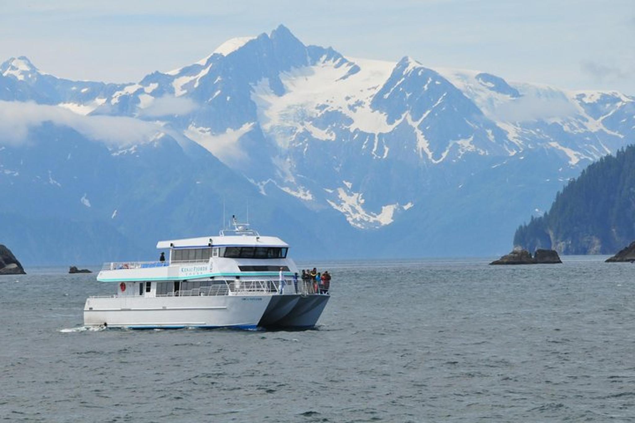 Seward Glacier and Wildlife Tour - Image 3
