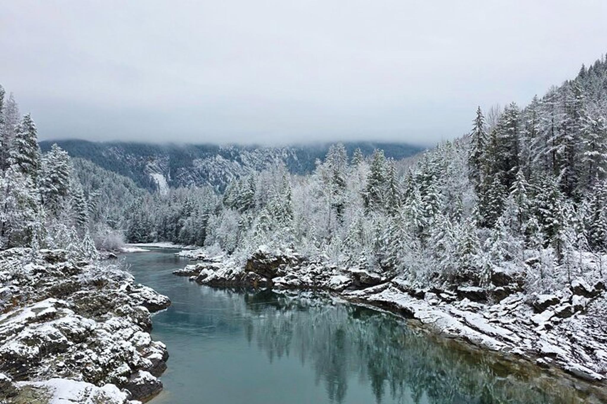Glacier National Park Snowshoe Tour - Image 6