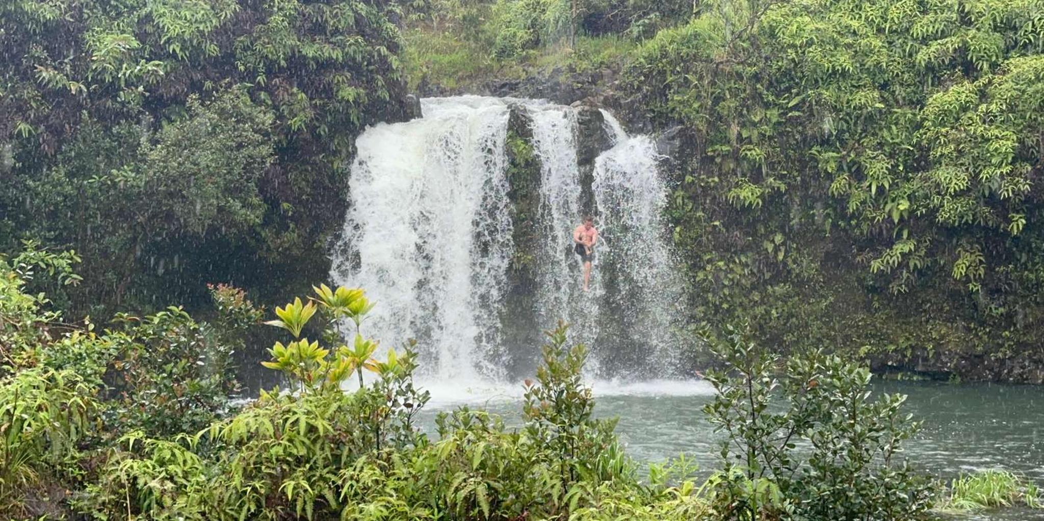 Maui Waterfall and Jungle Tour: Road to Hana - Image 5
