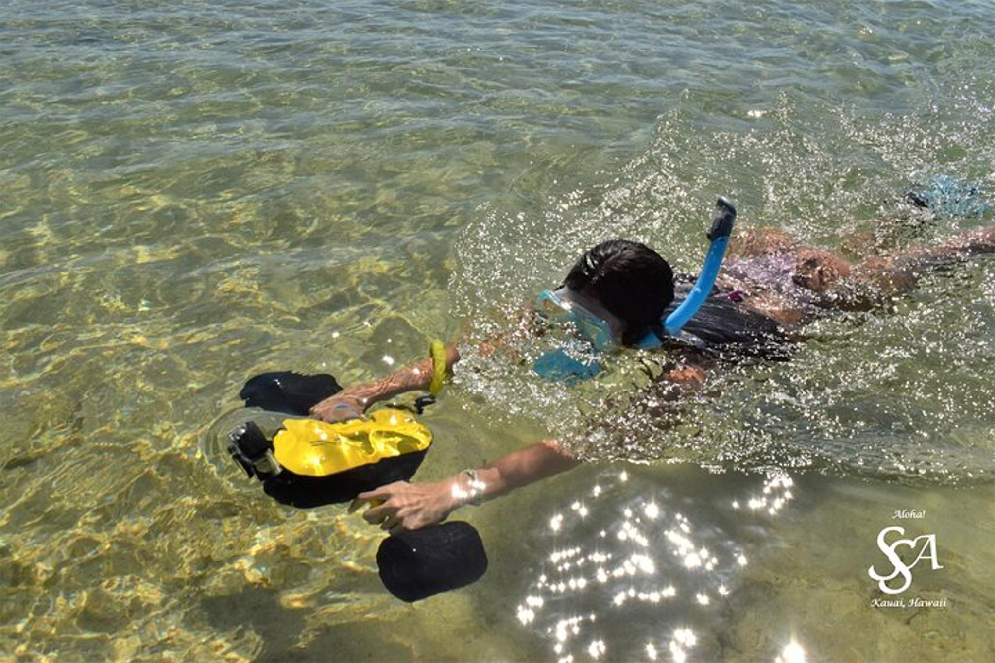 Princeville Snorkeling Shore Excursion - Image 3