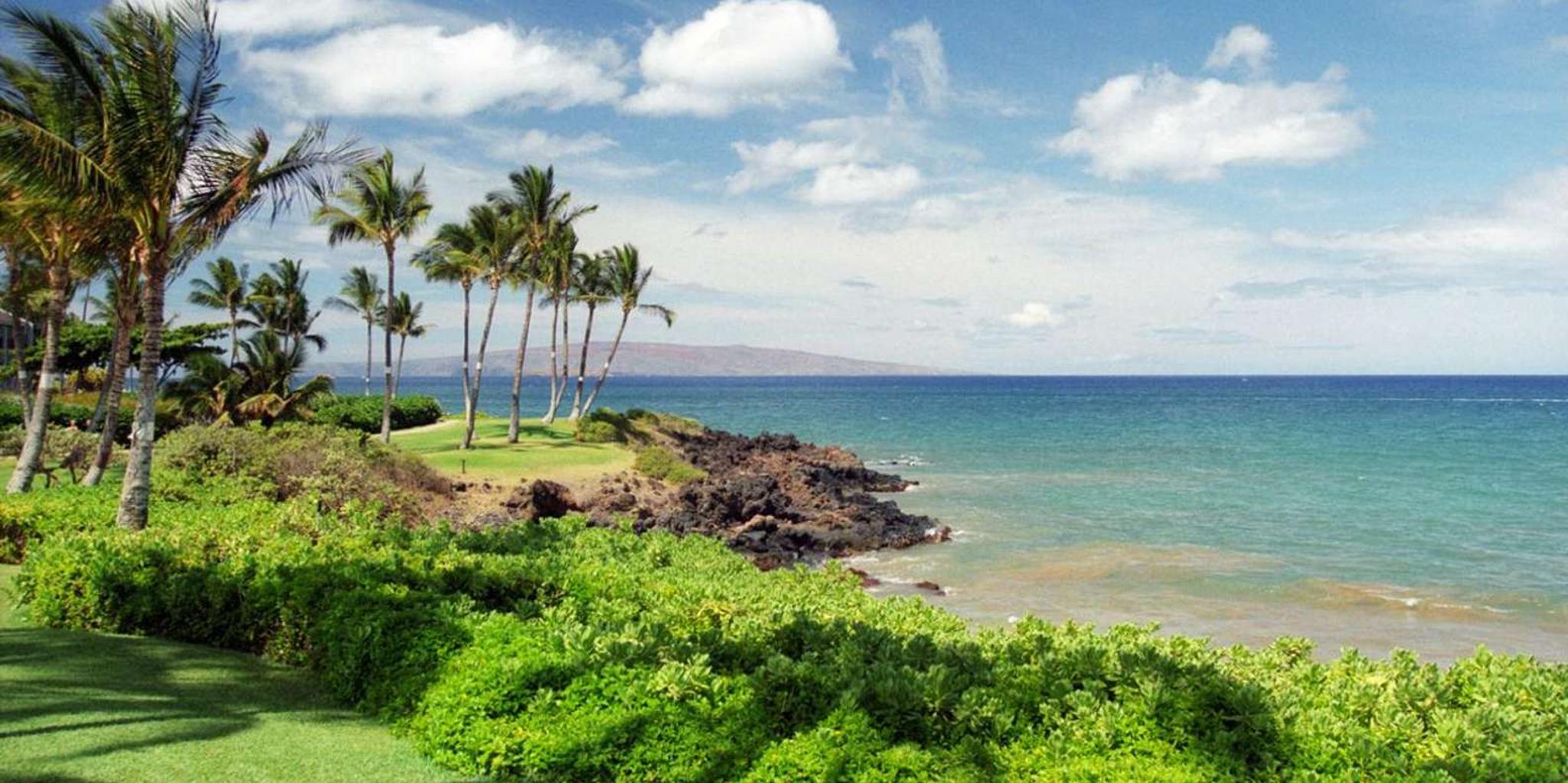 Hawaii Island Circle Tour - Image 3