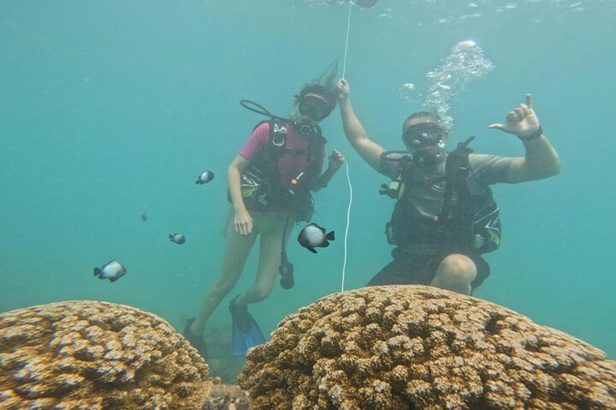 Honolulu Scuba Diving Experience with Video Package - Image 6