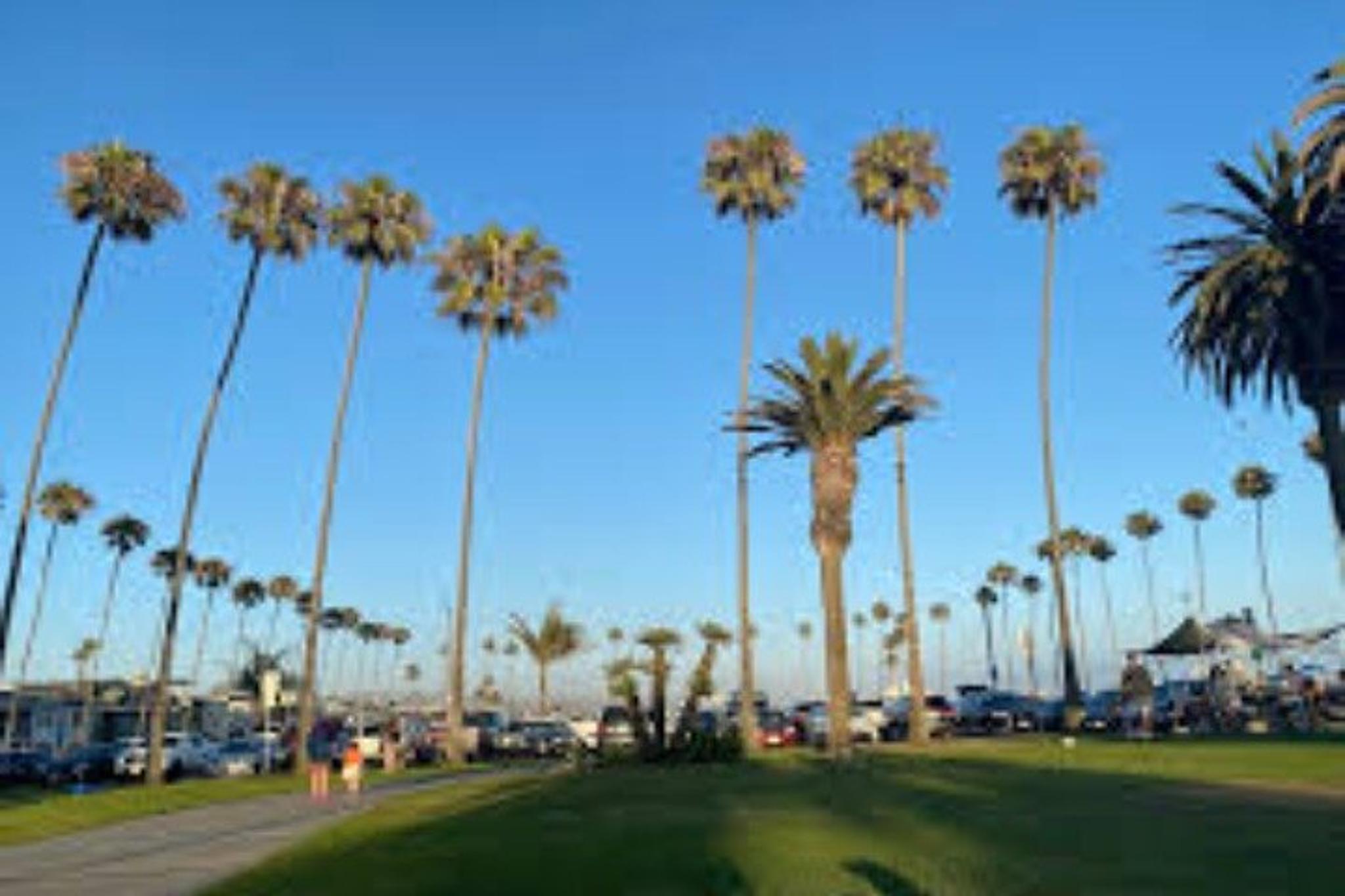 Los Angeles Private Orange County Beach Cities Tour - Image 4