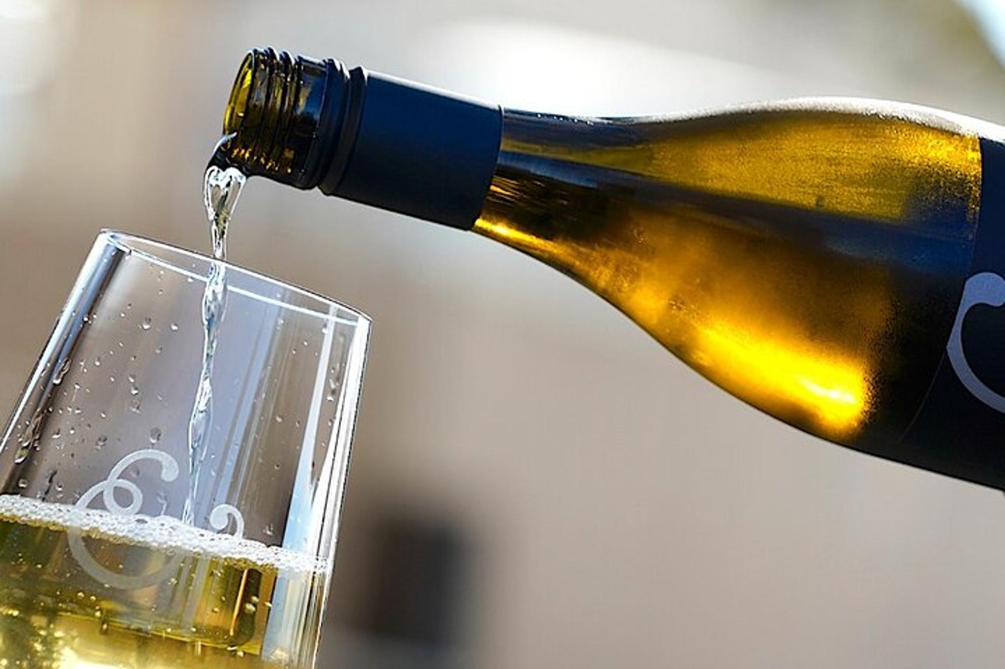 Russian River Wine Tasting and Gourmet Lunch - Image 4