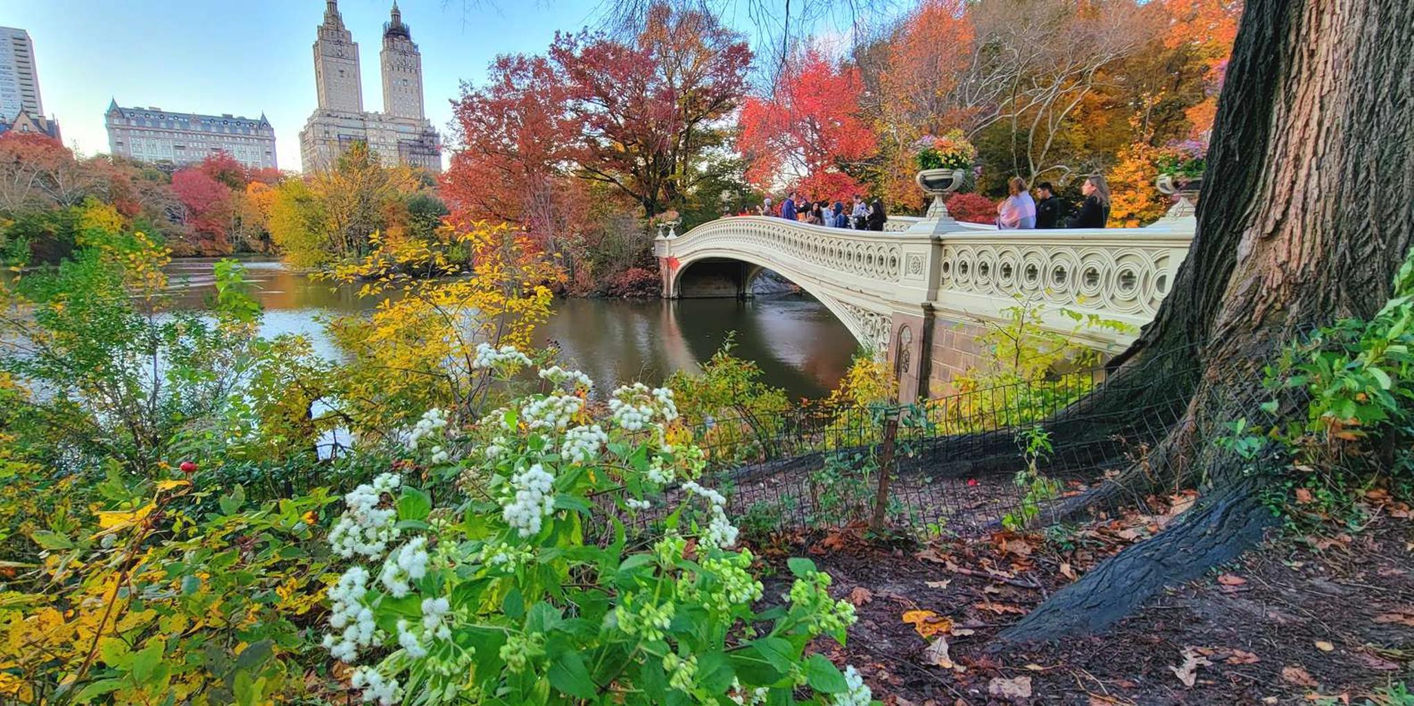 New York Central Park Walking Tour