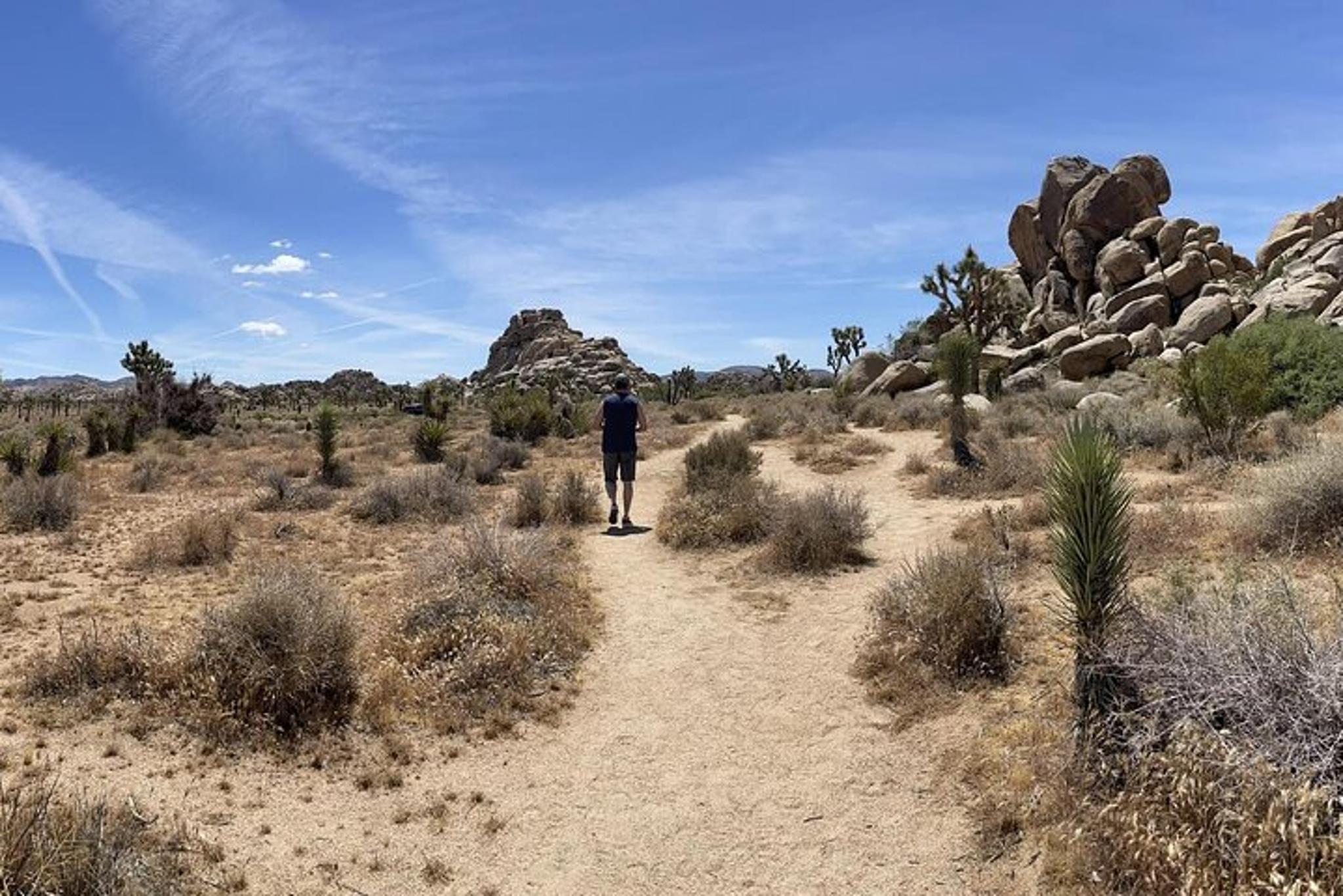 San Diego Joshua Tree National Park Day Trip - Image 5