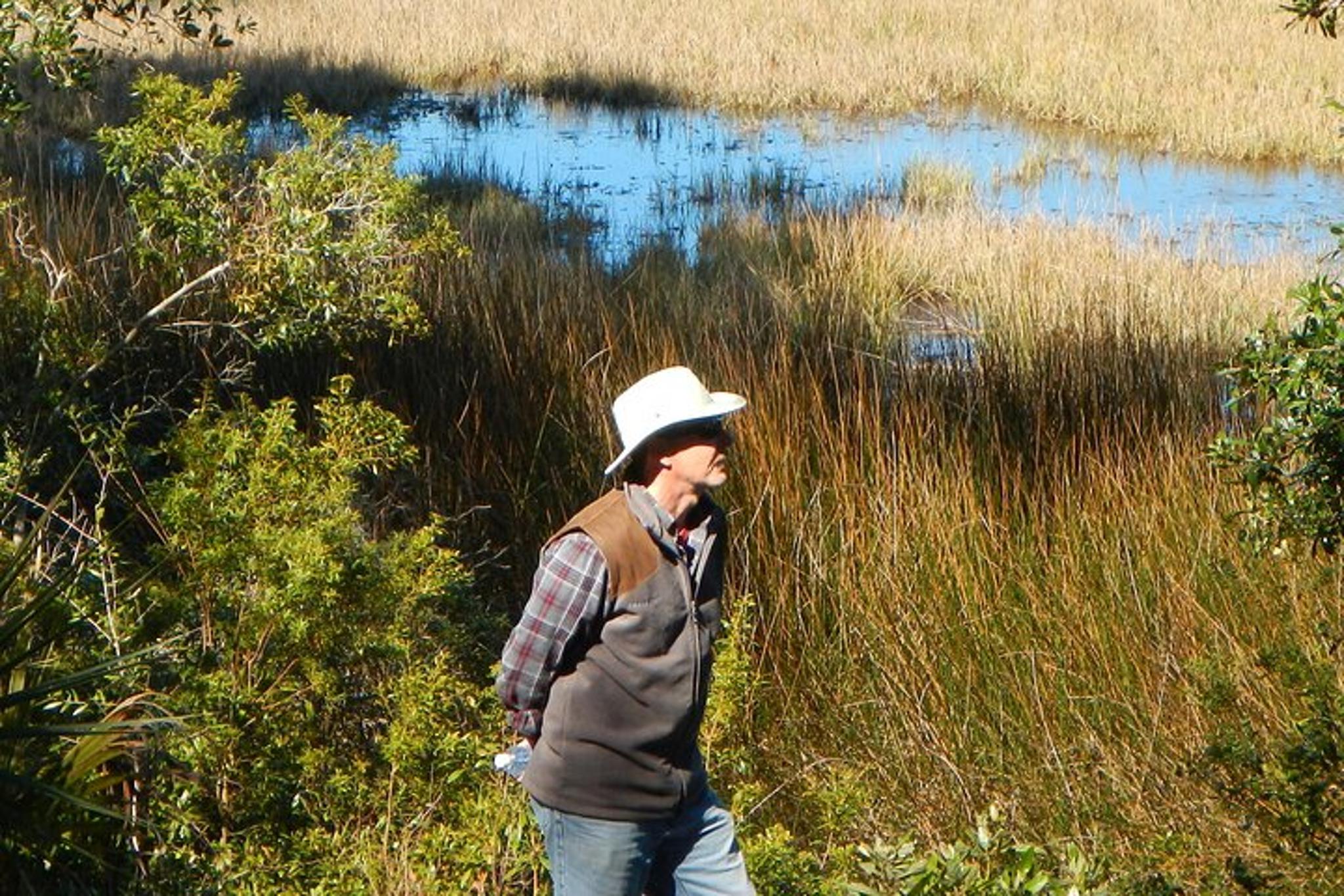 Northeast Florida Nature Hike - Image 3
