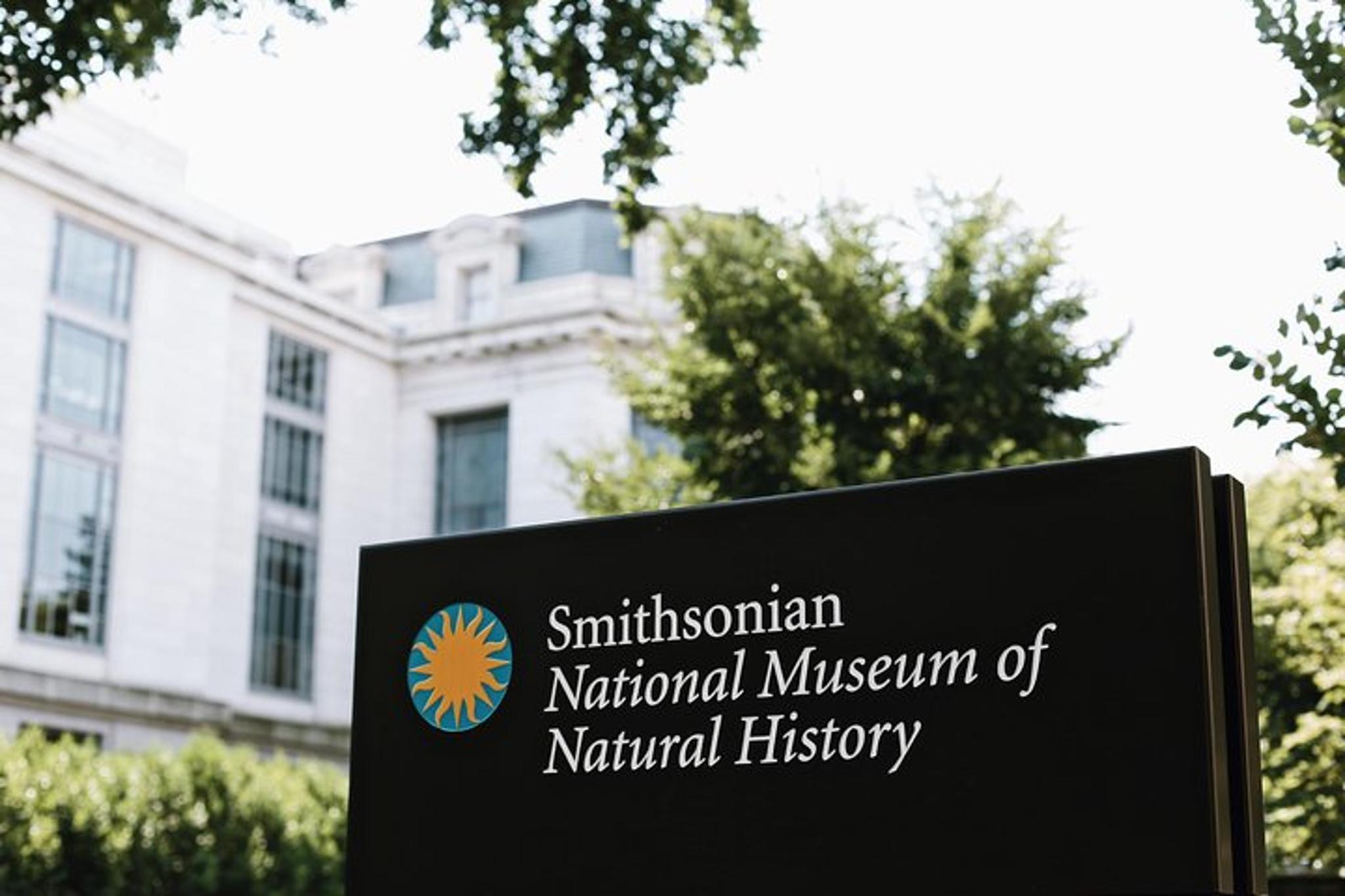 Washington D.C. Museum of Natural History Tour - Image 3