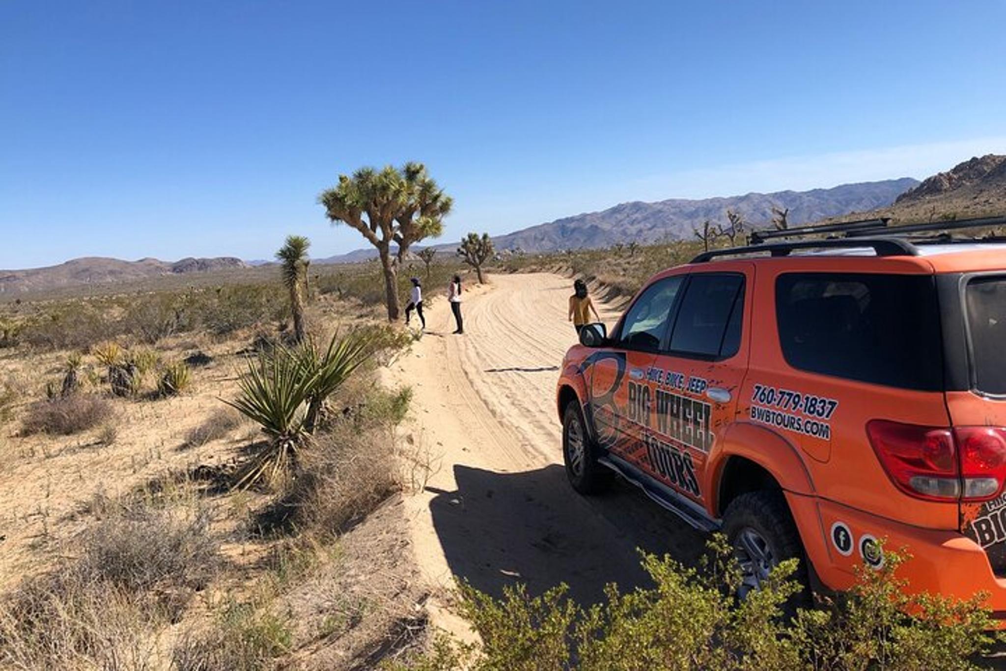 Joshua Tree National Park Offroad Tour - Image 2