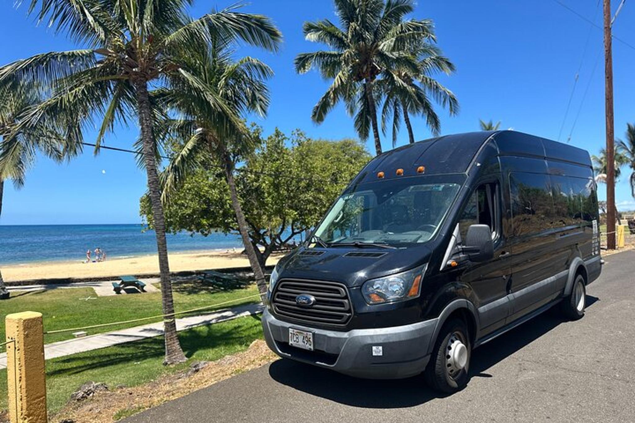 Kona Hapuna Beach Day Excursion - Image 2