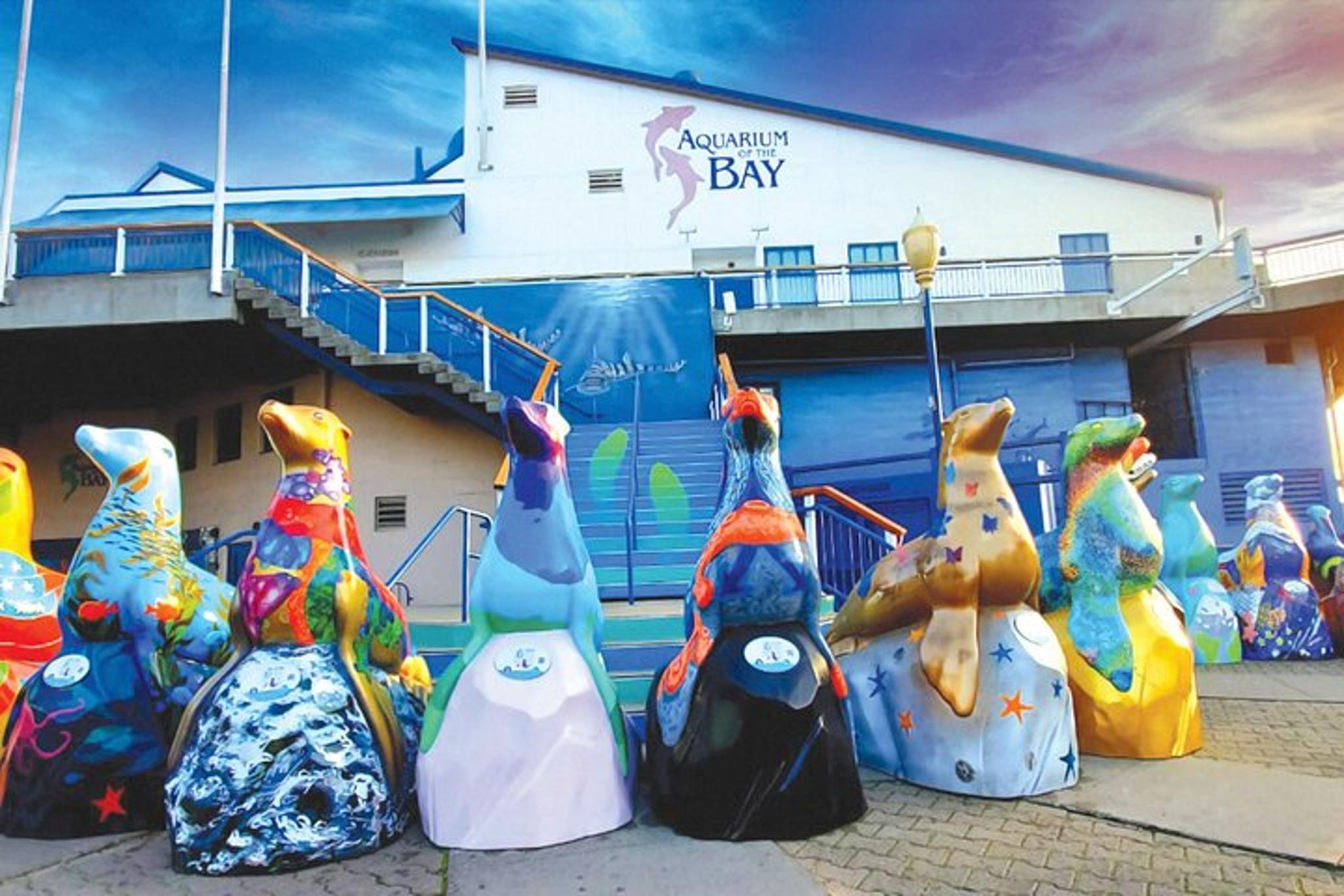 San Francisco Aquarium of the Bay Admission - Image 4