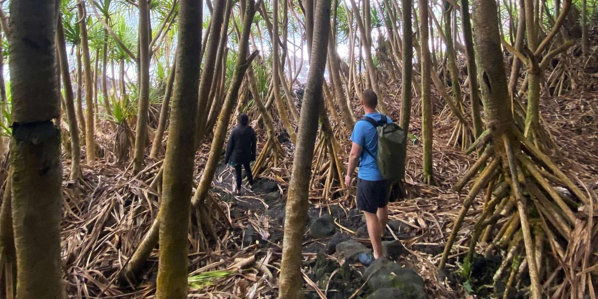 Pāhoa Tide Pool Hike and Jungle Adventure - Image 4