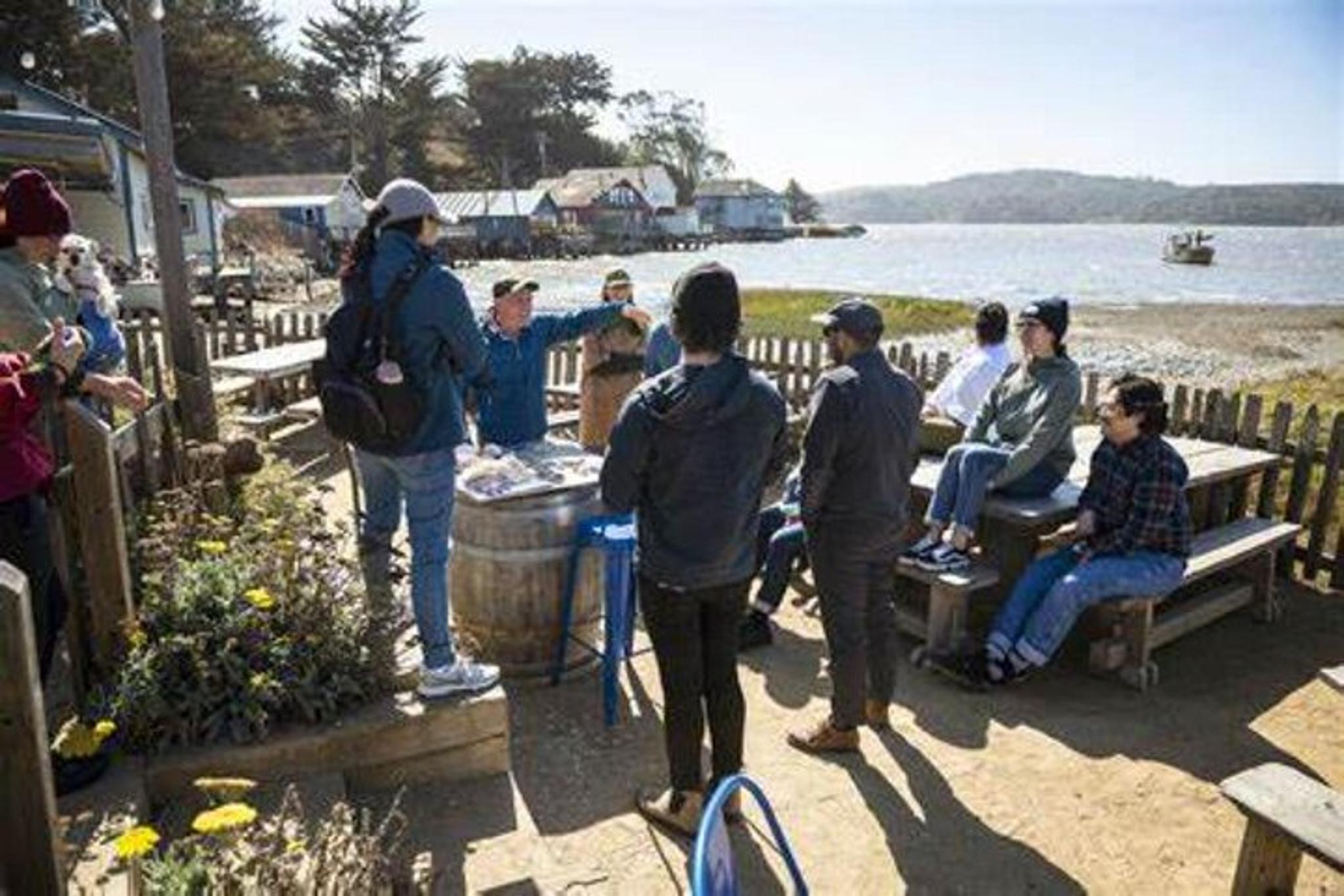 San Francisco Vineyards, Waves and Wine Tour 5 Days - Image 2