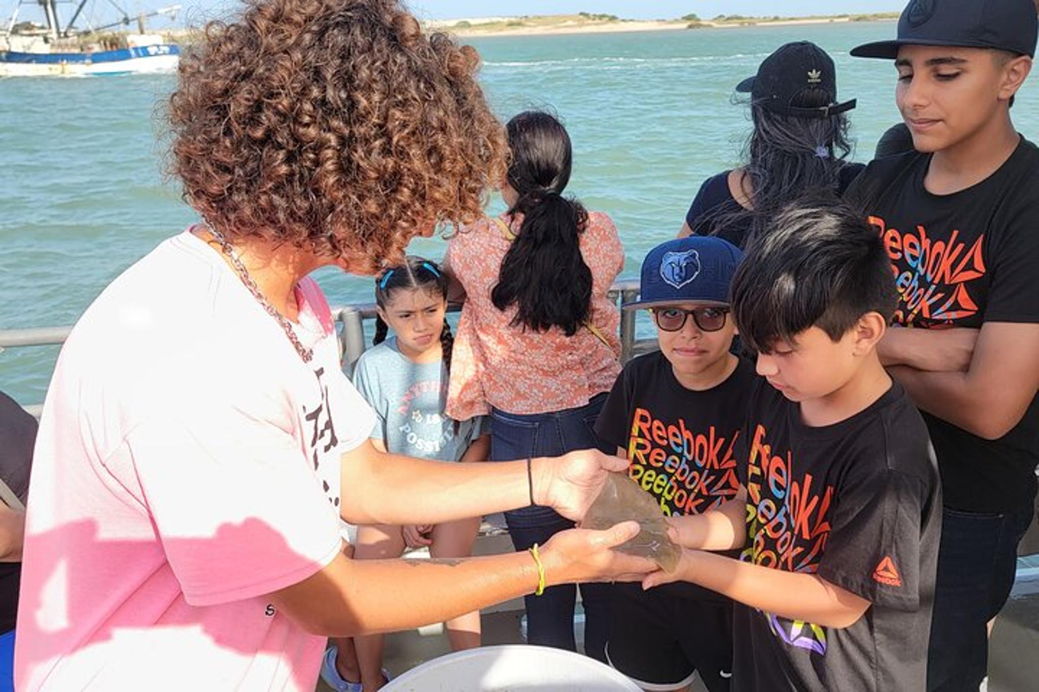 South Padre Island Dolphin Watch Eco Tour 90 min - Image 4