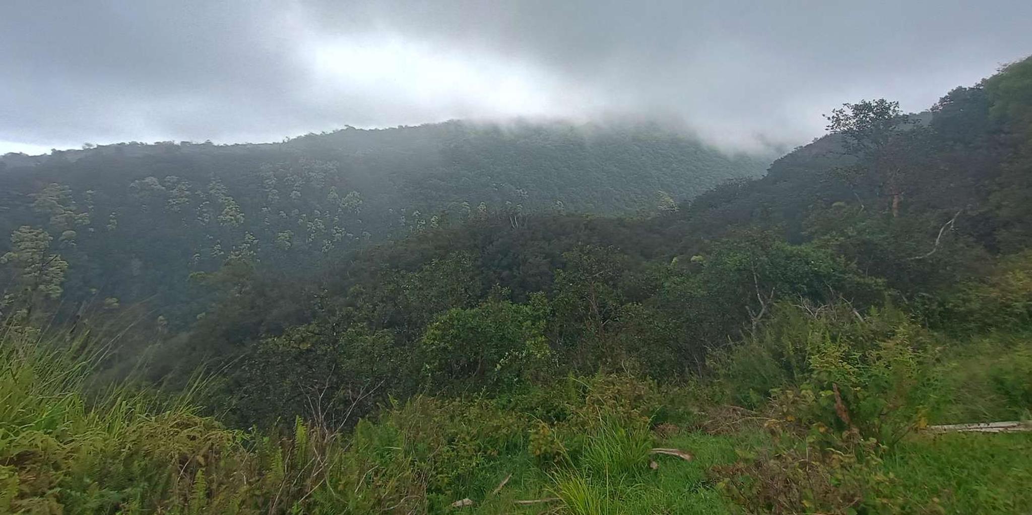 Maui East Side Hiking Tour - Image 3