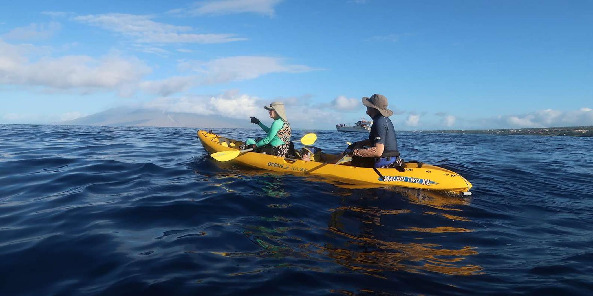 Maui Turtle Town Kayak and Snorkel Tour - Image 4