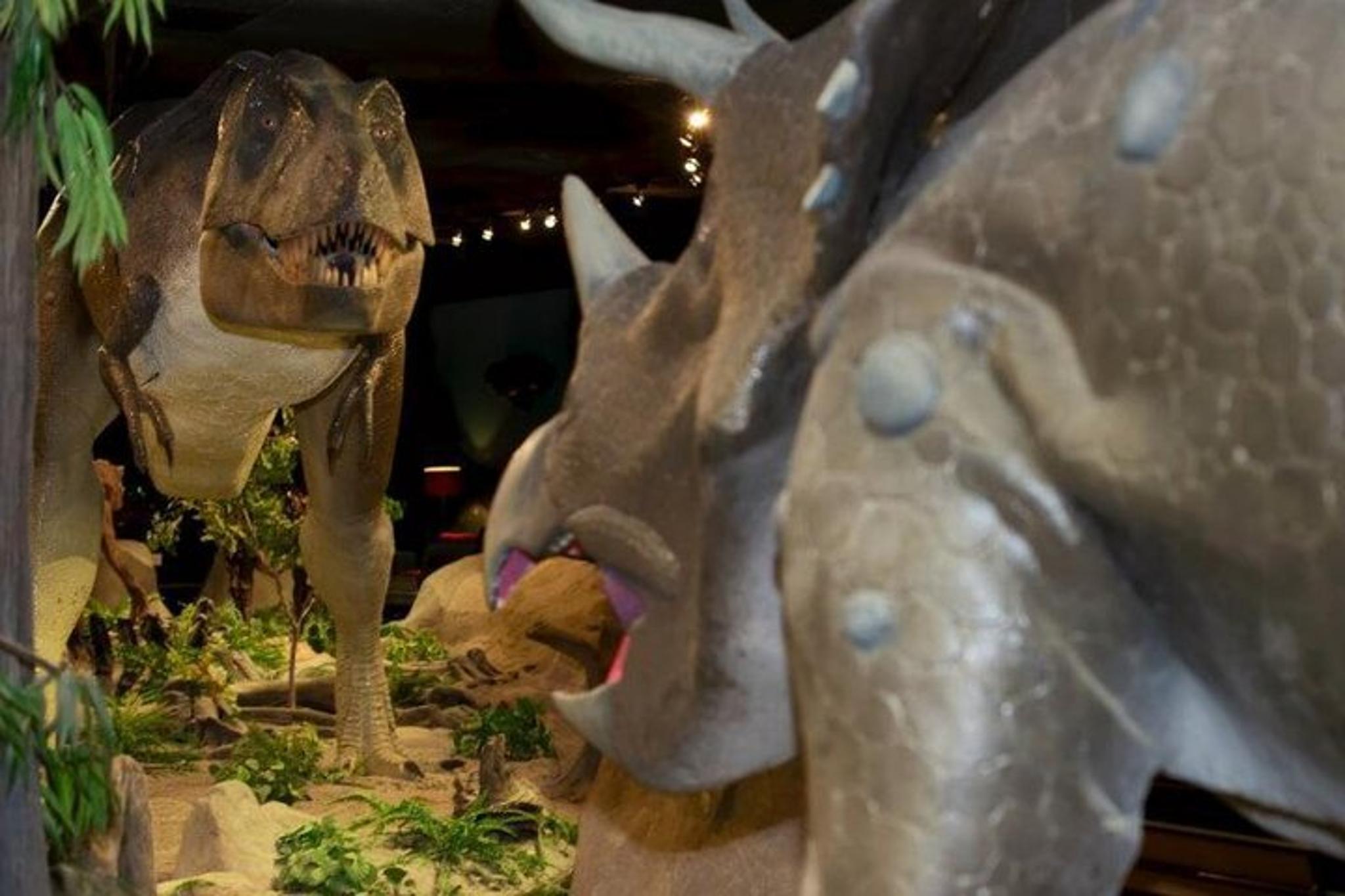 Las Vegas Natural History Museum Admission - Image 2