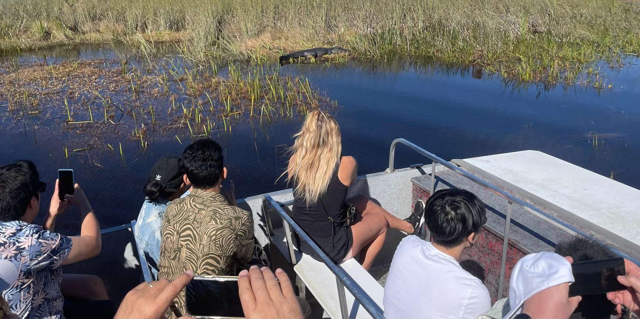 Miami Everglades Airboat Alligator Tour with Transfer - Image 2