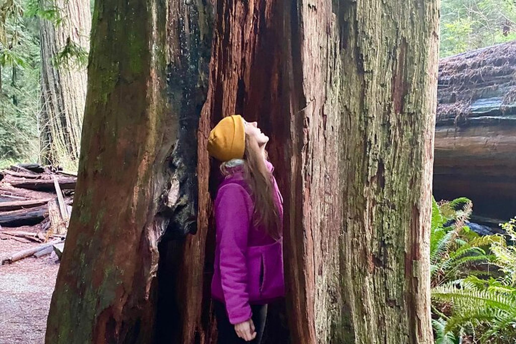 Seattle to California National Parks and Coast Road Trip - Image 3