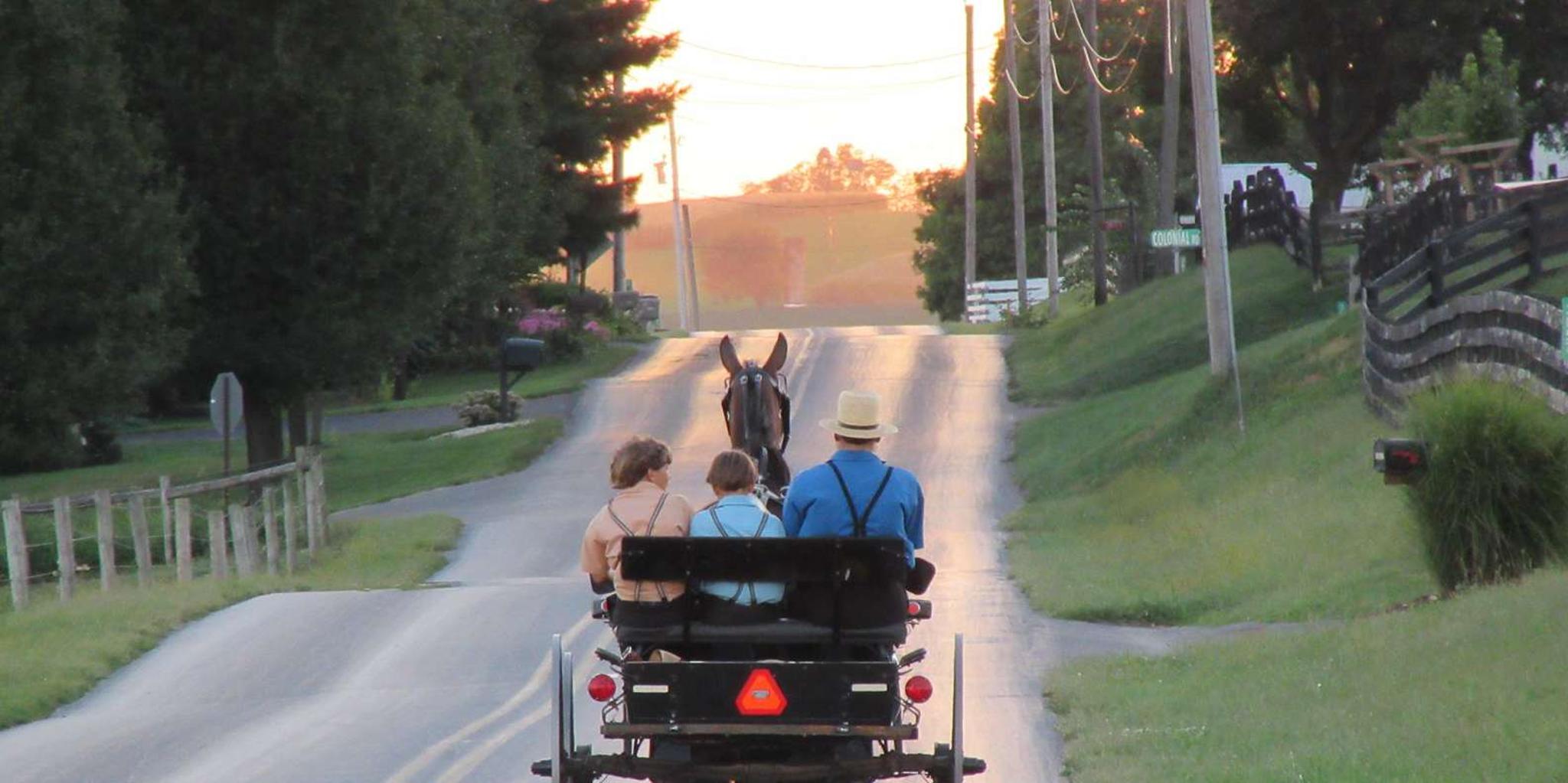 Lancaster Amish Farmlands Tour - Image 4