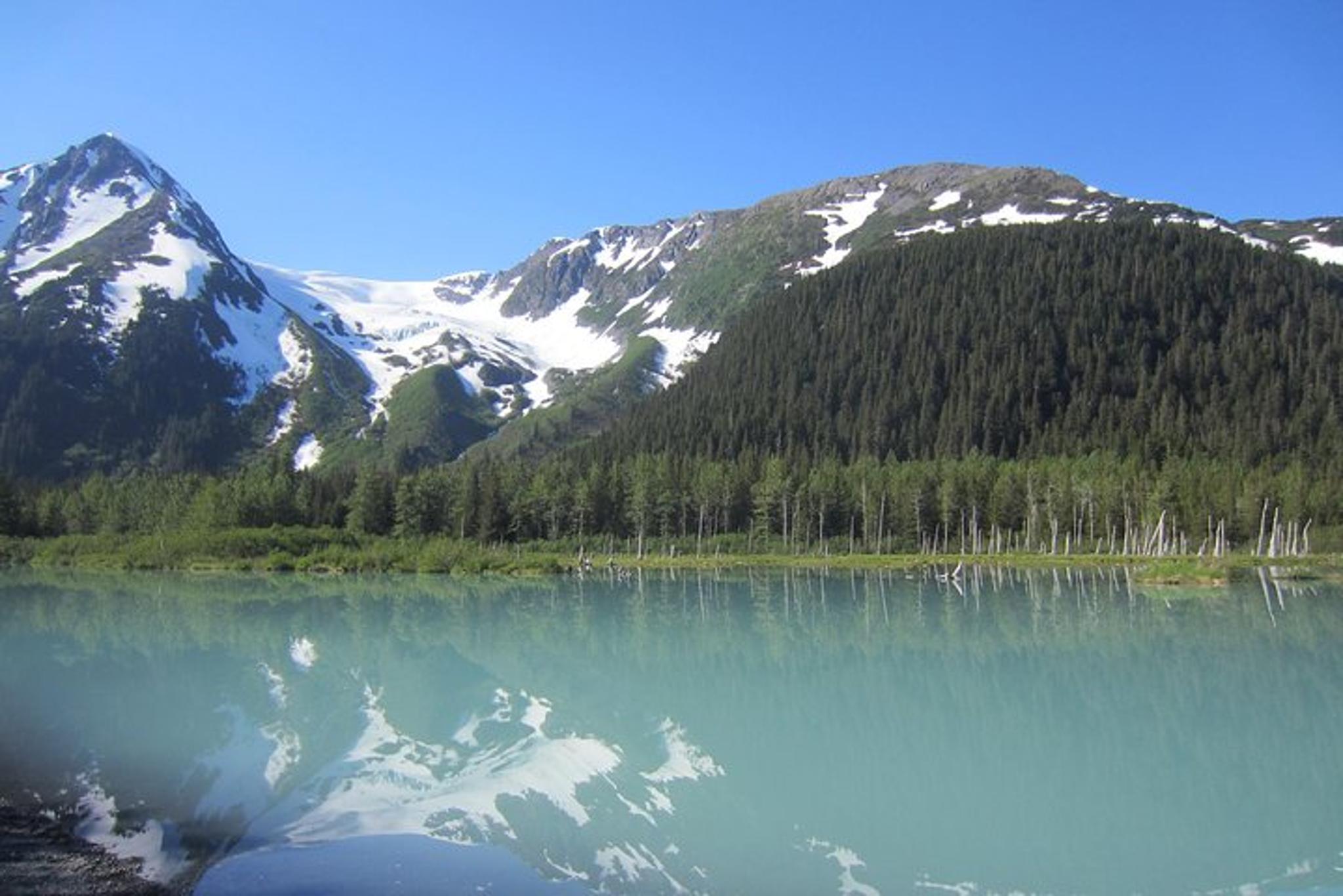Anchorage Turnagain Arm Tour