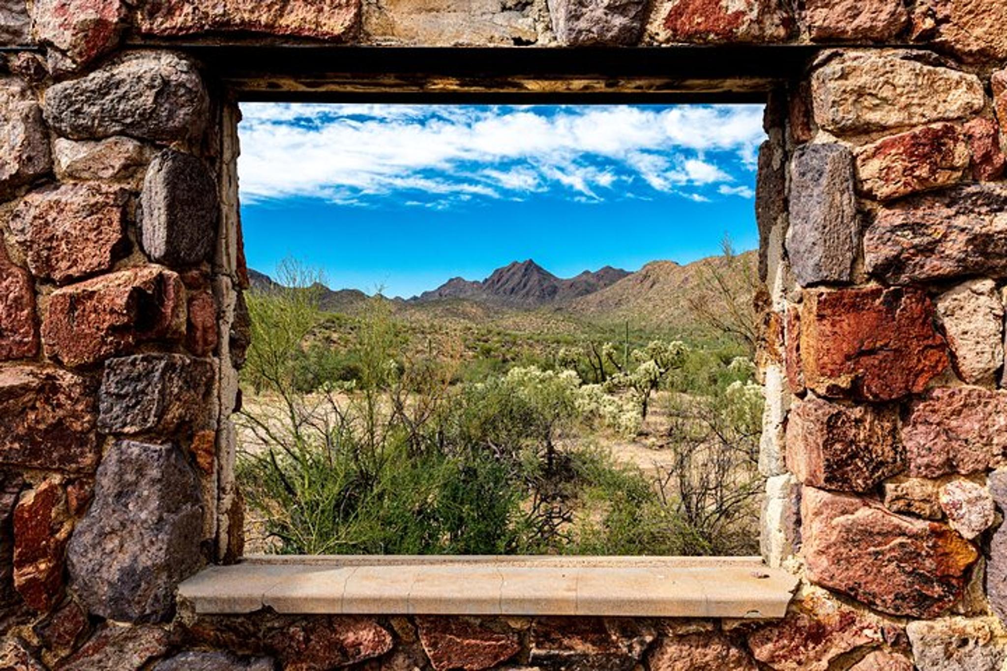 Sonoran Desert Exploration