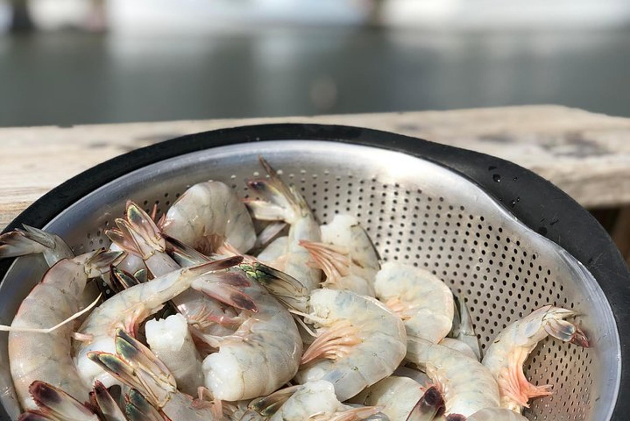 Shem Creek Shrimp Walking Tour - Image 6