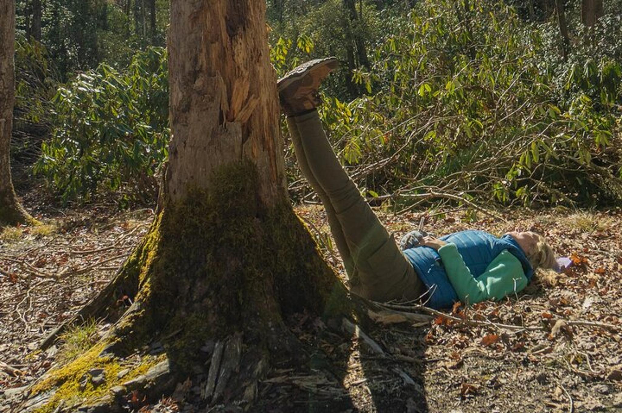 Asheville Forest Bathing Nature Walk - Image 4