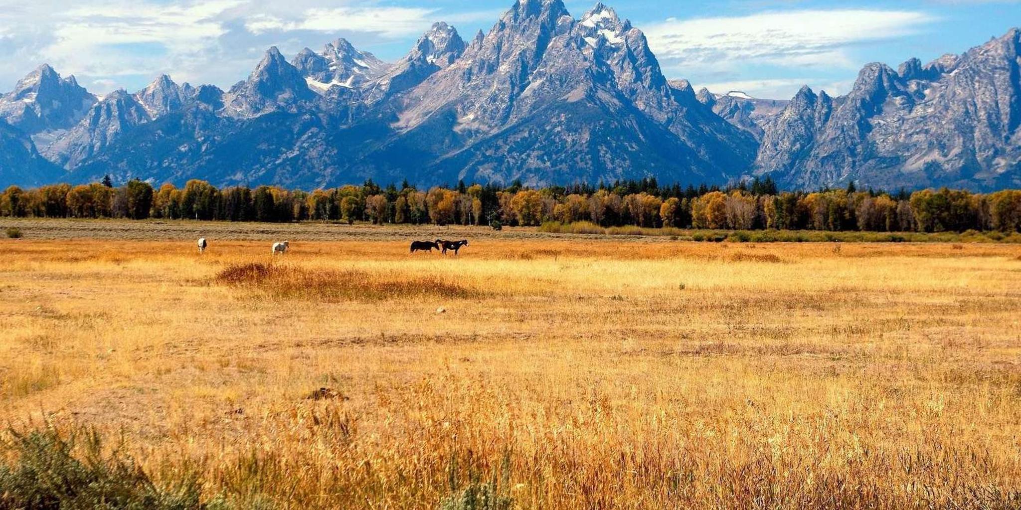 Salt Lake City 8-Day Yellowstone to Los Angeles Tour - Image 5