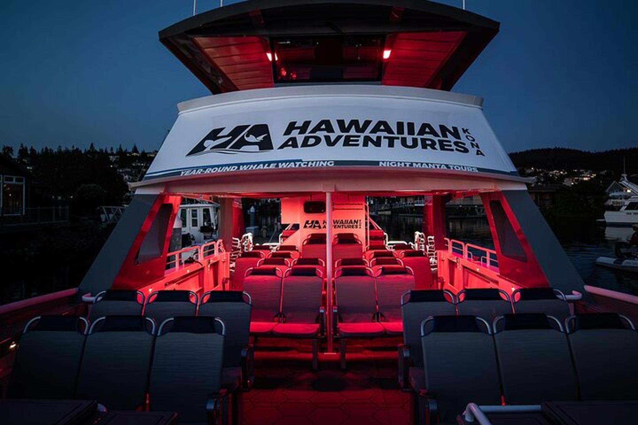 Kona Night Manta Snorkel Tour - Image 4