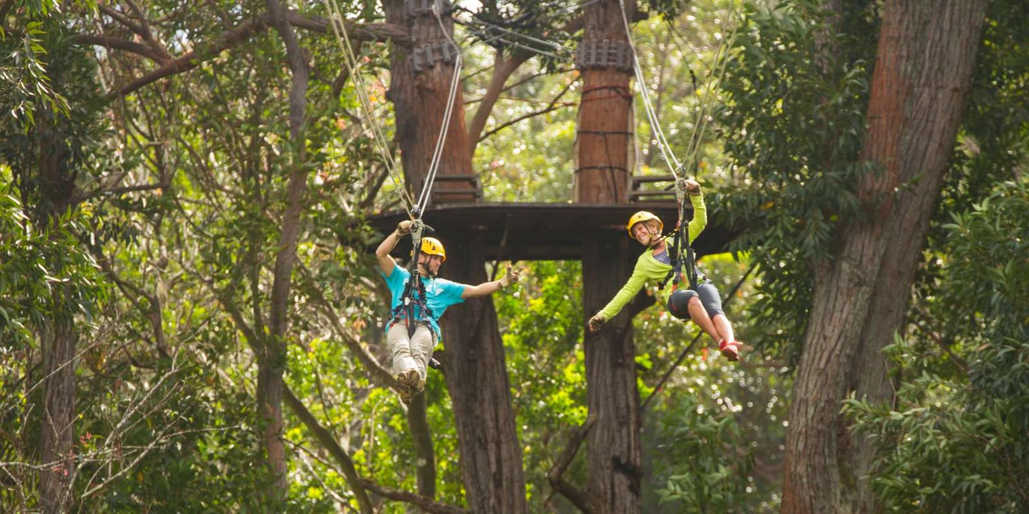 Kohala Canopy Zipline Adventure in Big Island - Image 5