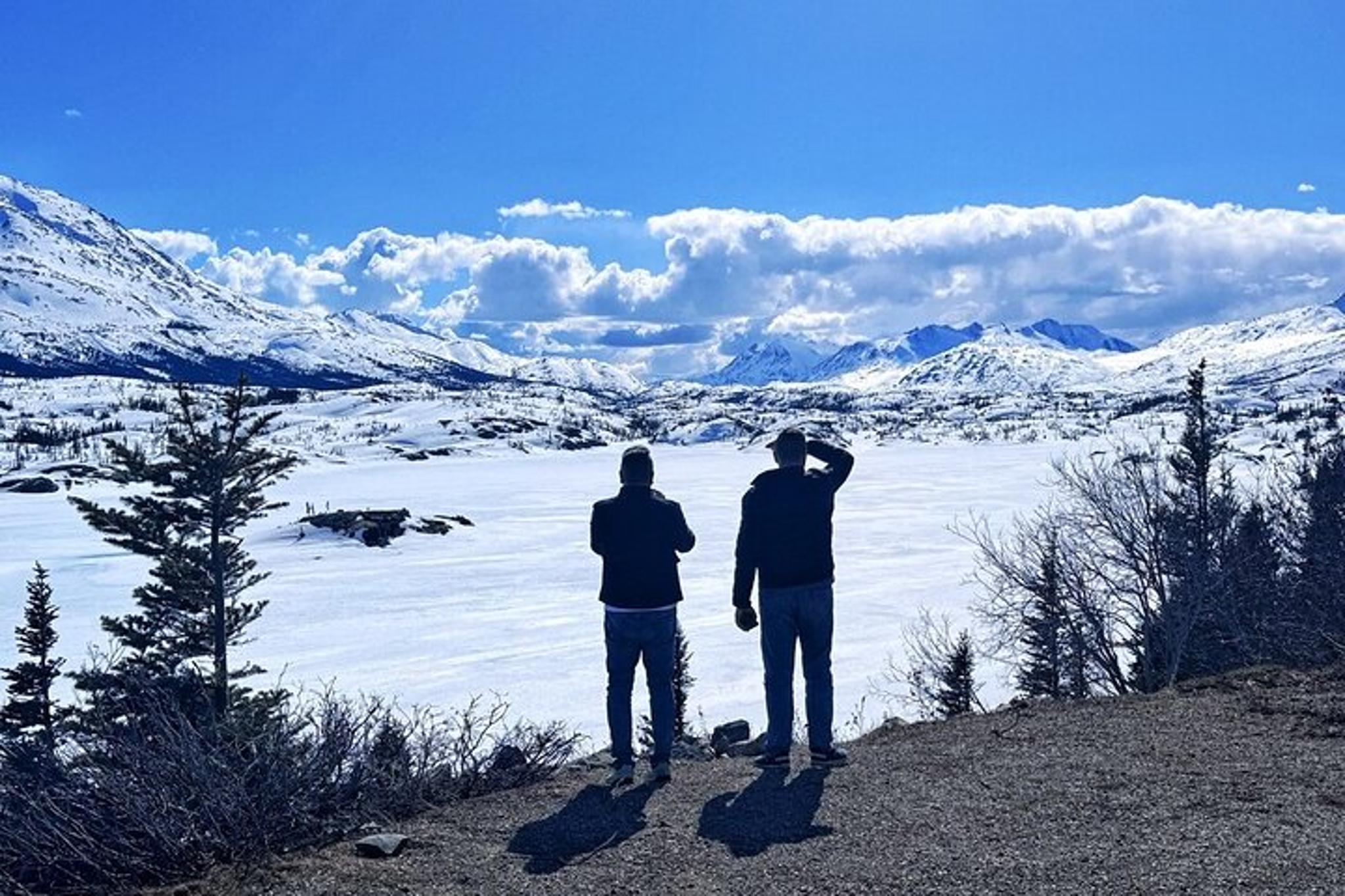 Skagway Emerald Lake Tour with Huskies