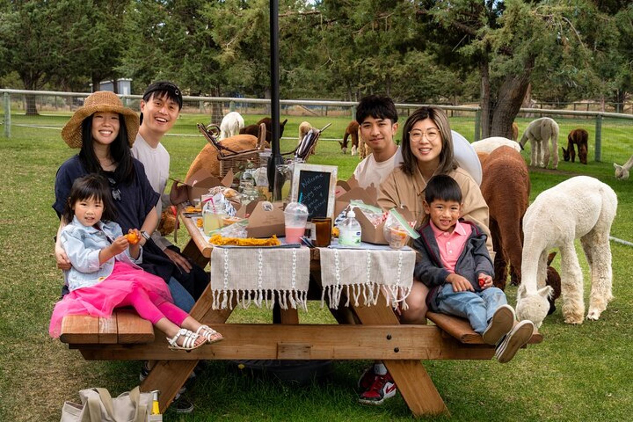 Bend Alpaca Picnic Experience 90 min - Image 3