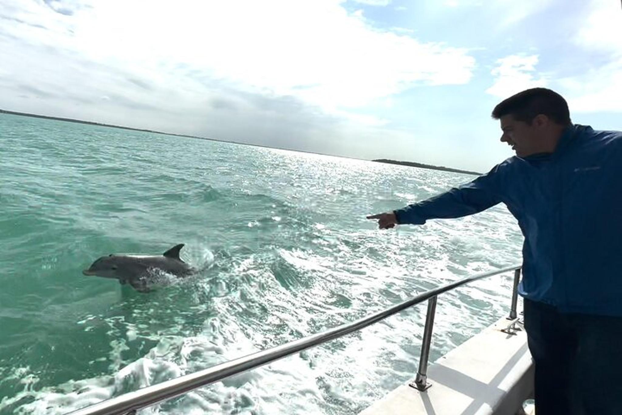 Miami Sandbar Adventure & Snorkel Boat Tour - Image 4