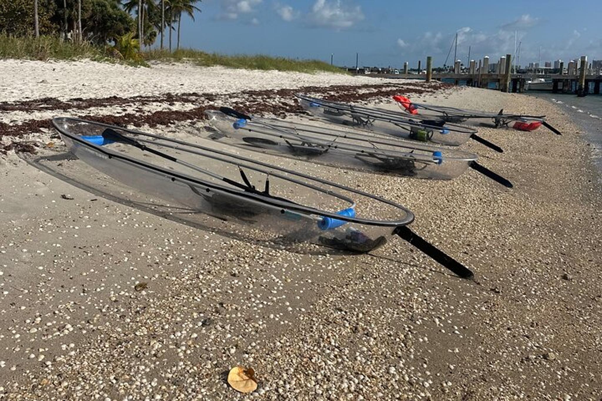 Peanut Island Glass-Bottom Kayak & Snorkel Adventure - Image 3