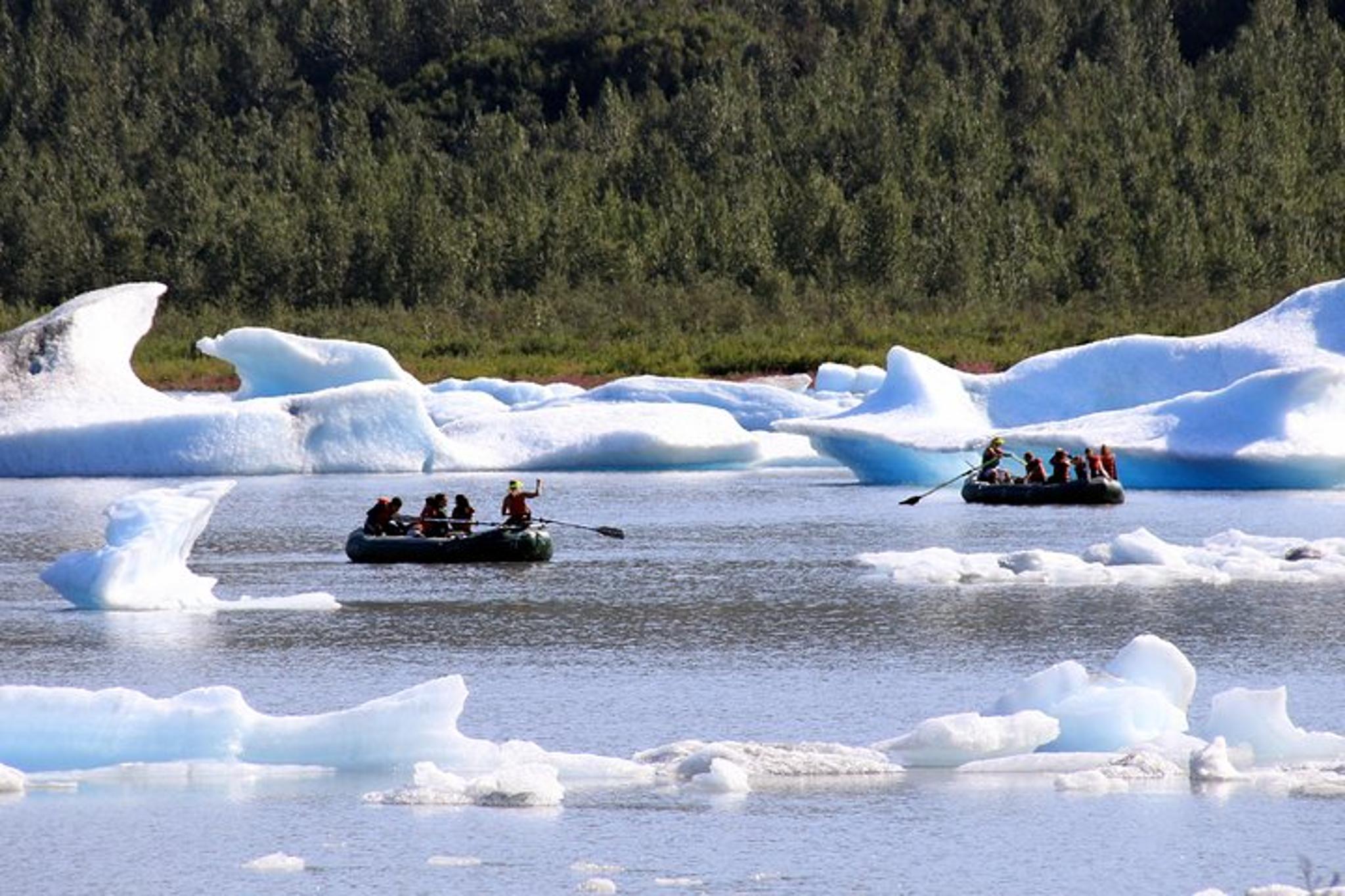 Girdwood Bears, Trains & Icebergs Tour - Image 3