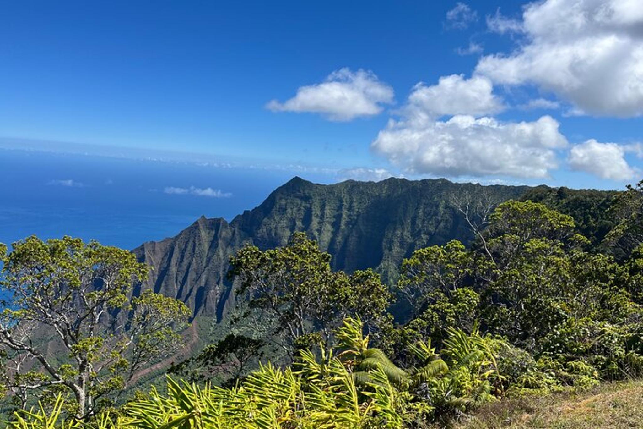 Kauai Island Movie Tour from Poipu - Image 2