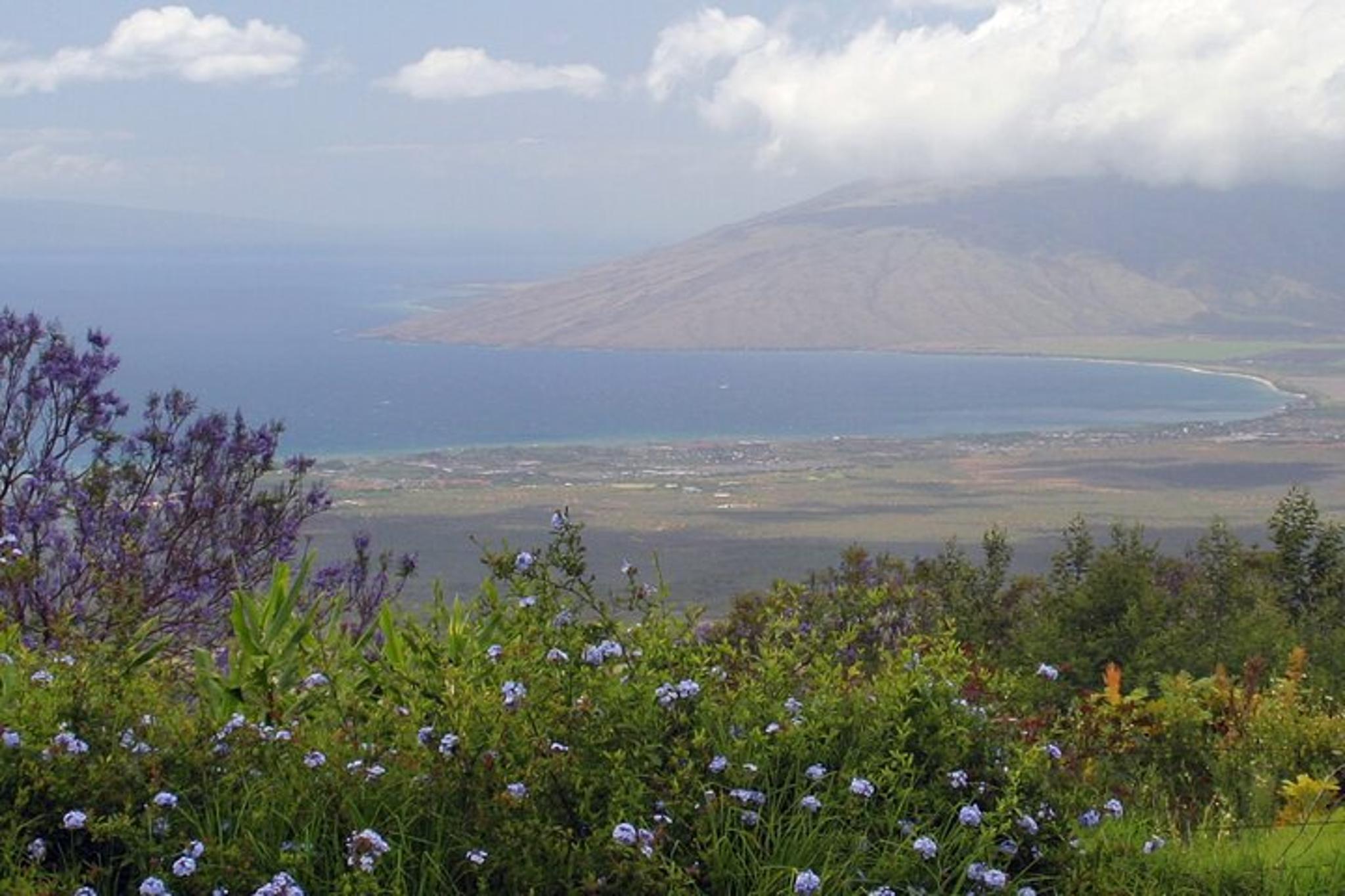 Maui Farm Distillery and Craft Experience Tour - Image 2
