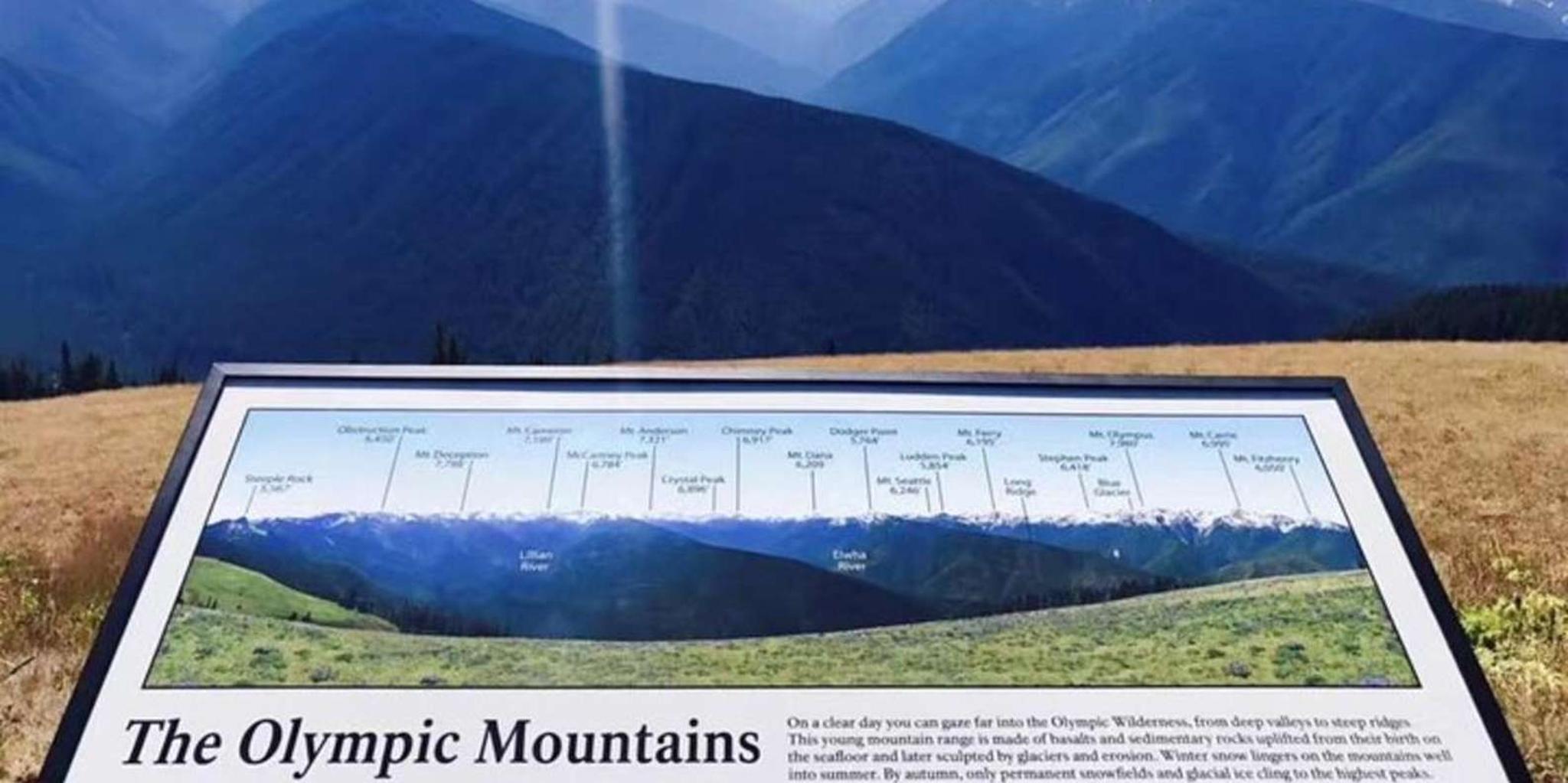 Seattle Olympic National Park Day Tour - Image 3