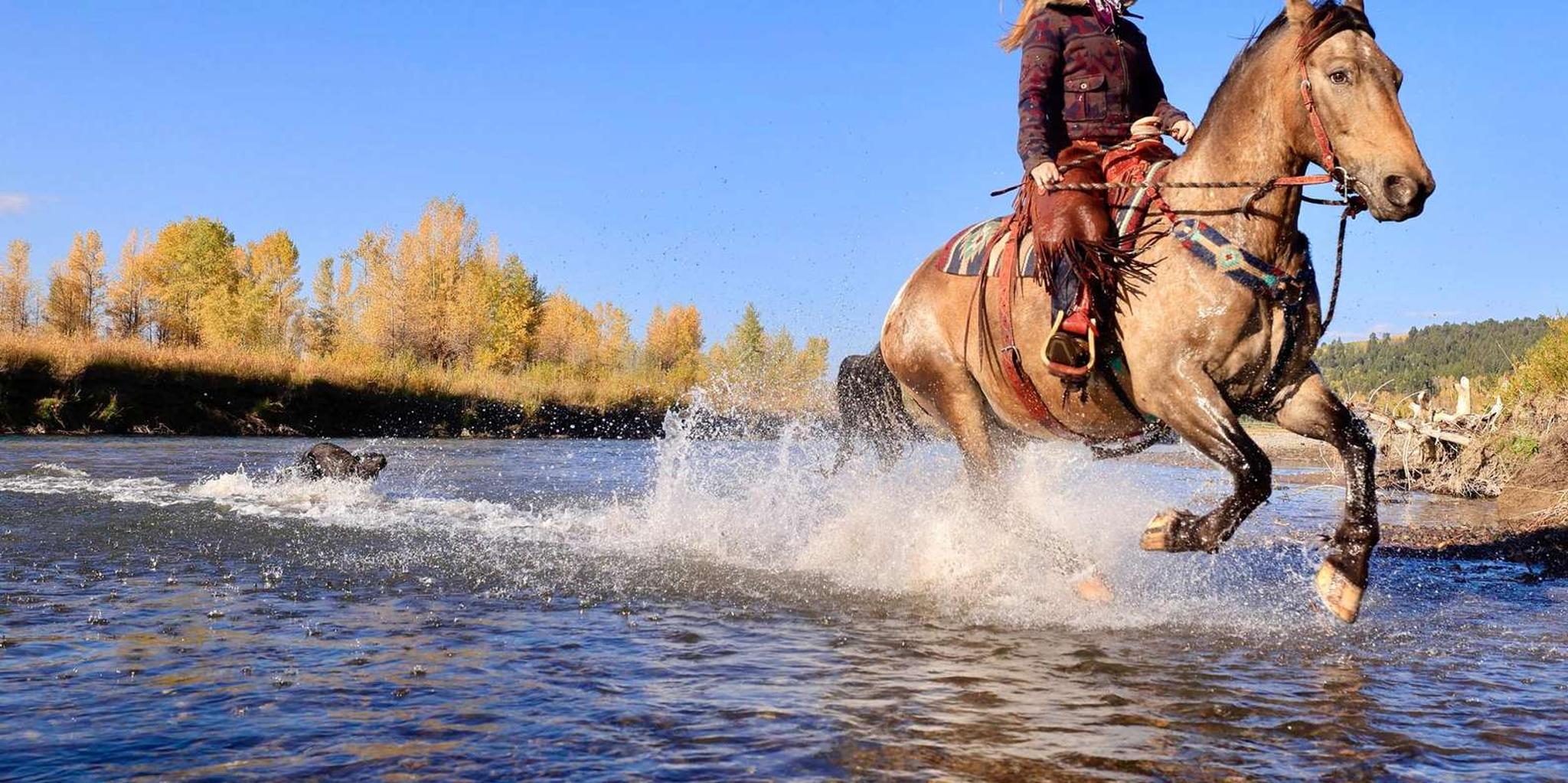 Tucson Horseback Riding Tour at Rancho Cerros - Image 3
