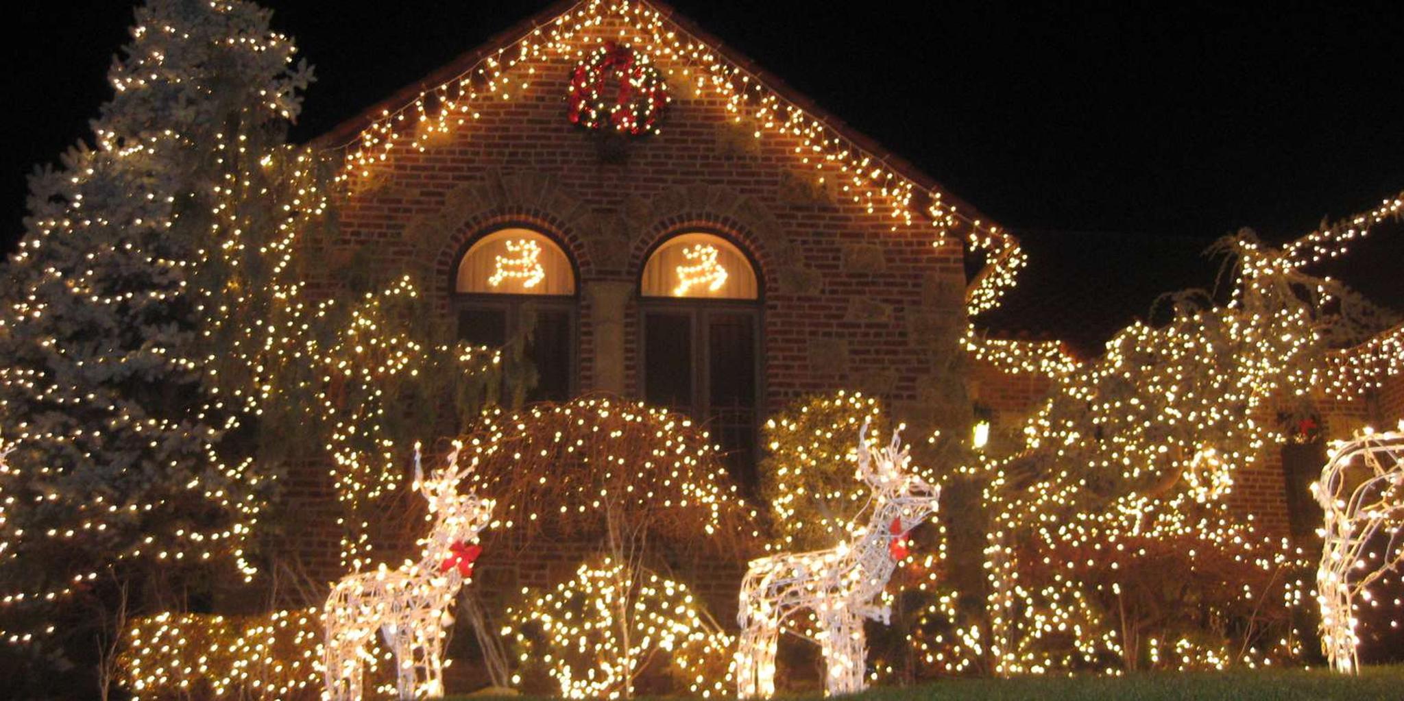 Brooklyn Christmas Lights Tour from Manhattan 4 hr - Image 5