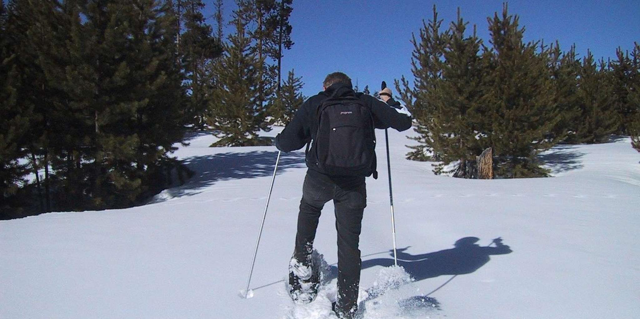 Gardiner Yellowstone National Park Snowshoe Tour 5 hr