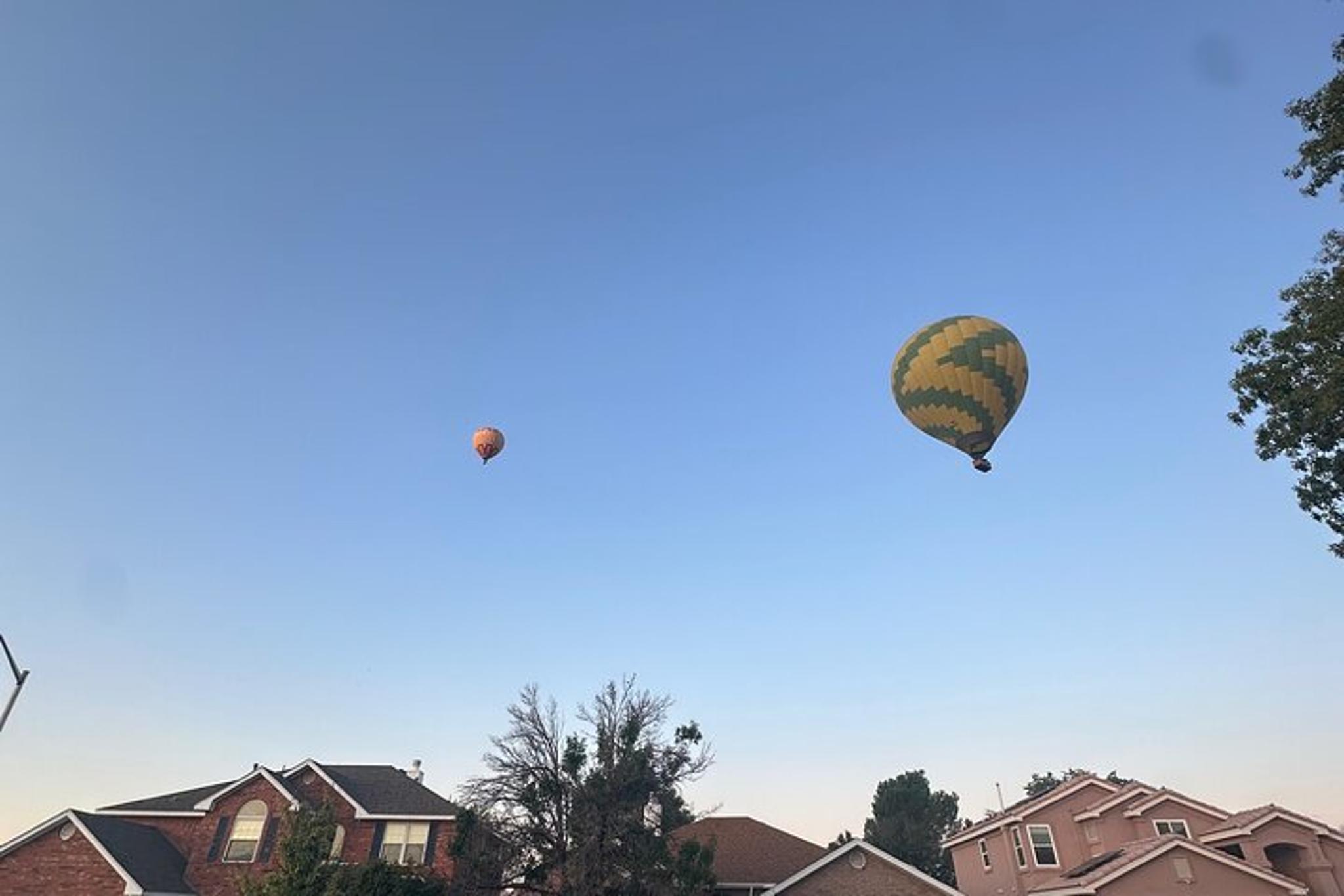 Albuquerque Balloon Festival Hot Air Balloon Ride - Image 4