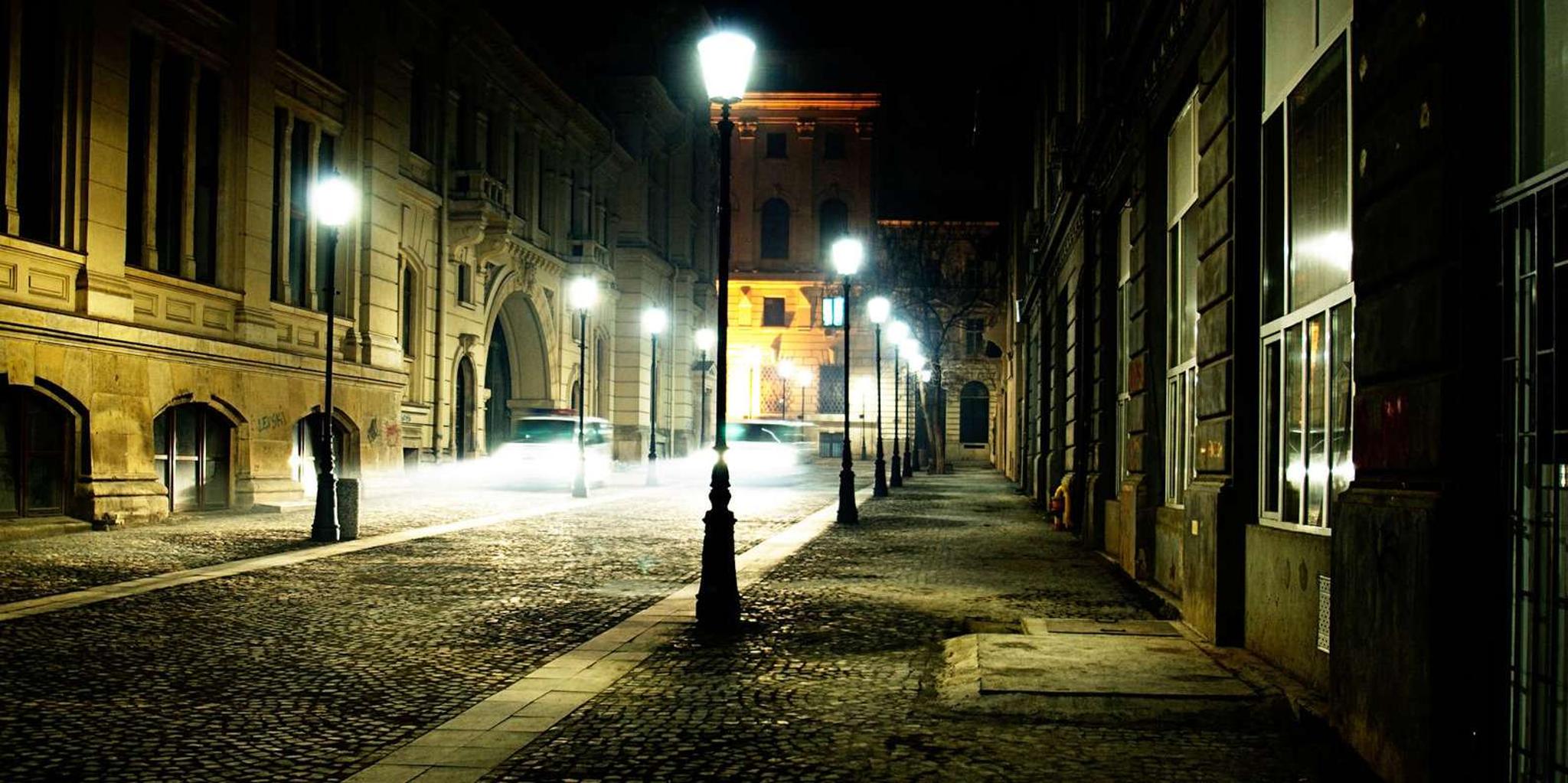 New Orleans City Walking Tour - Image 4