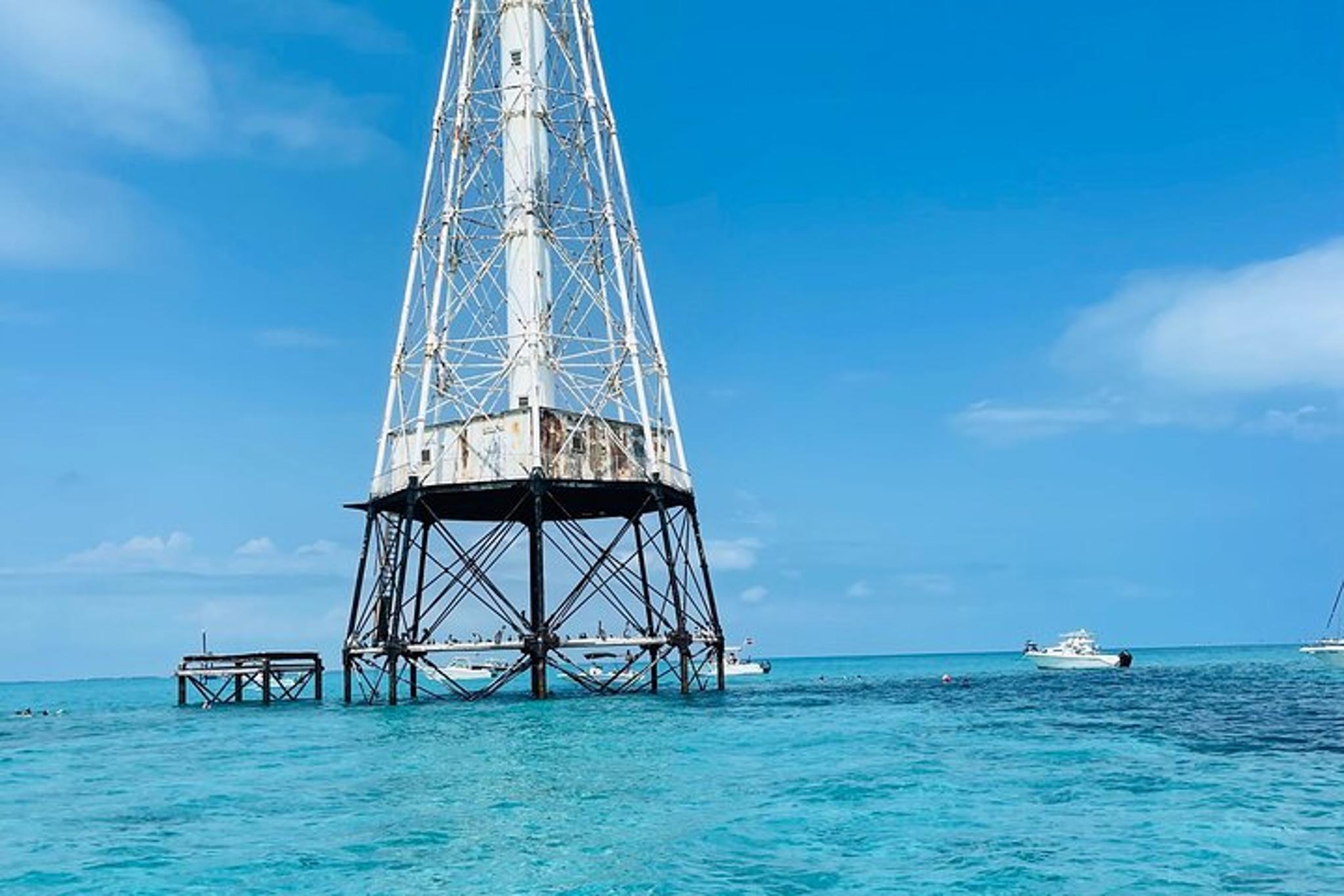 Islamorada Snorkel and Sandbar Tour - Image 4