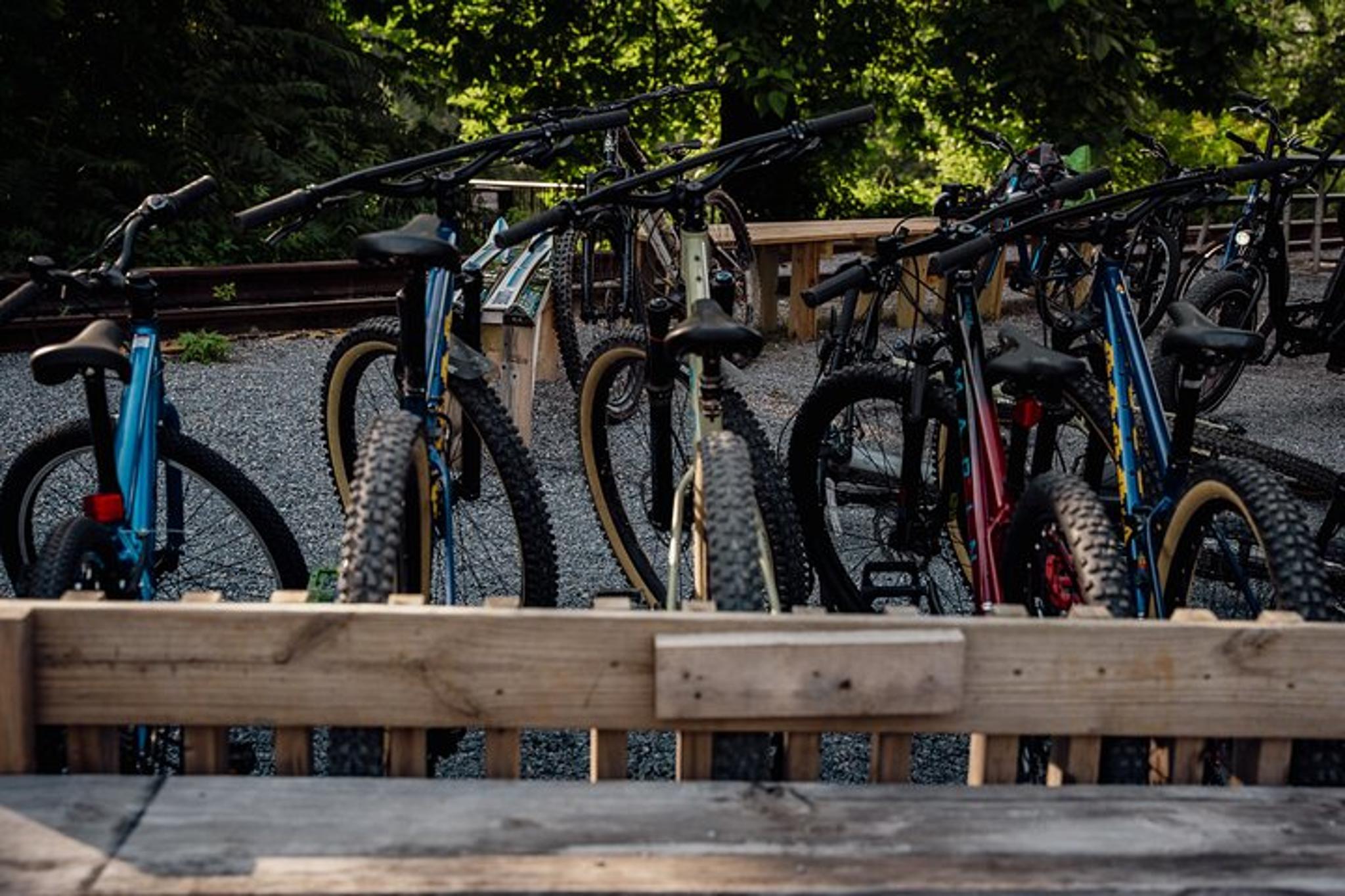 Roanoke Mountain Bike Tour from The Star - Image 5